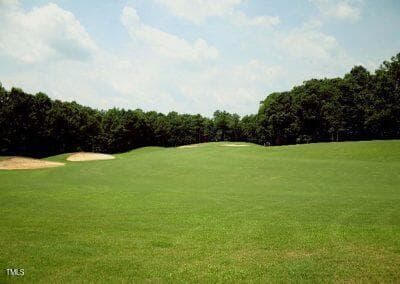 Scene 3 - 118 Rustler Road, Louisburg, NC 27549, Louisburg
