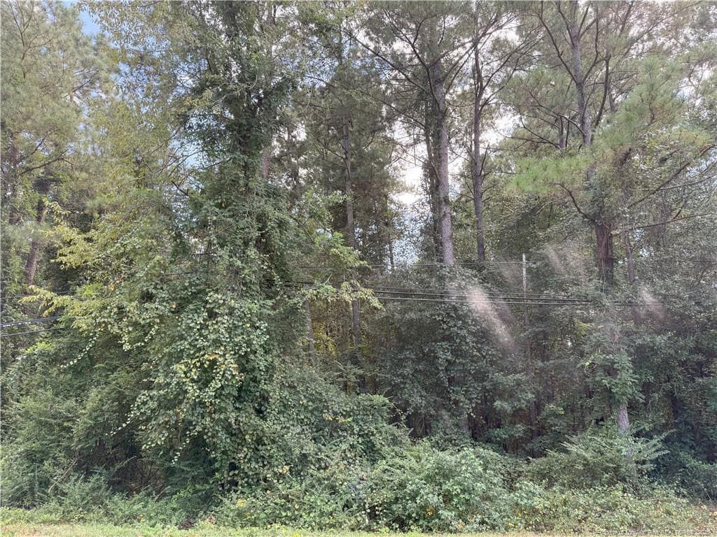 Lot 2 E Williams Street, Autryville, NC 28318