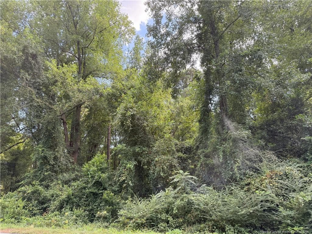 Photo 2 - Lot 3 E Williams Street, Autryville, NC 28318