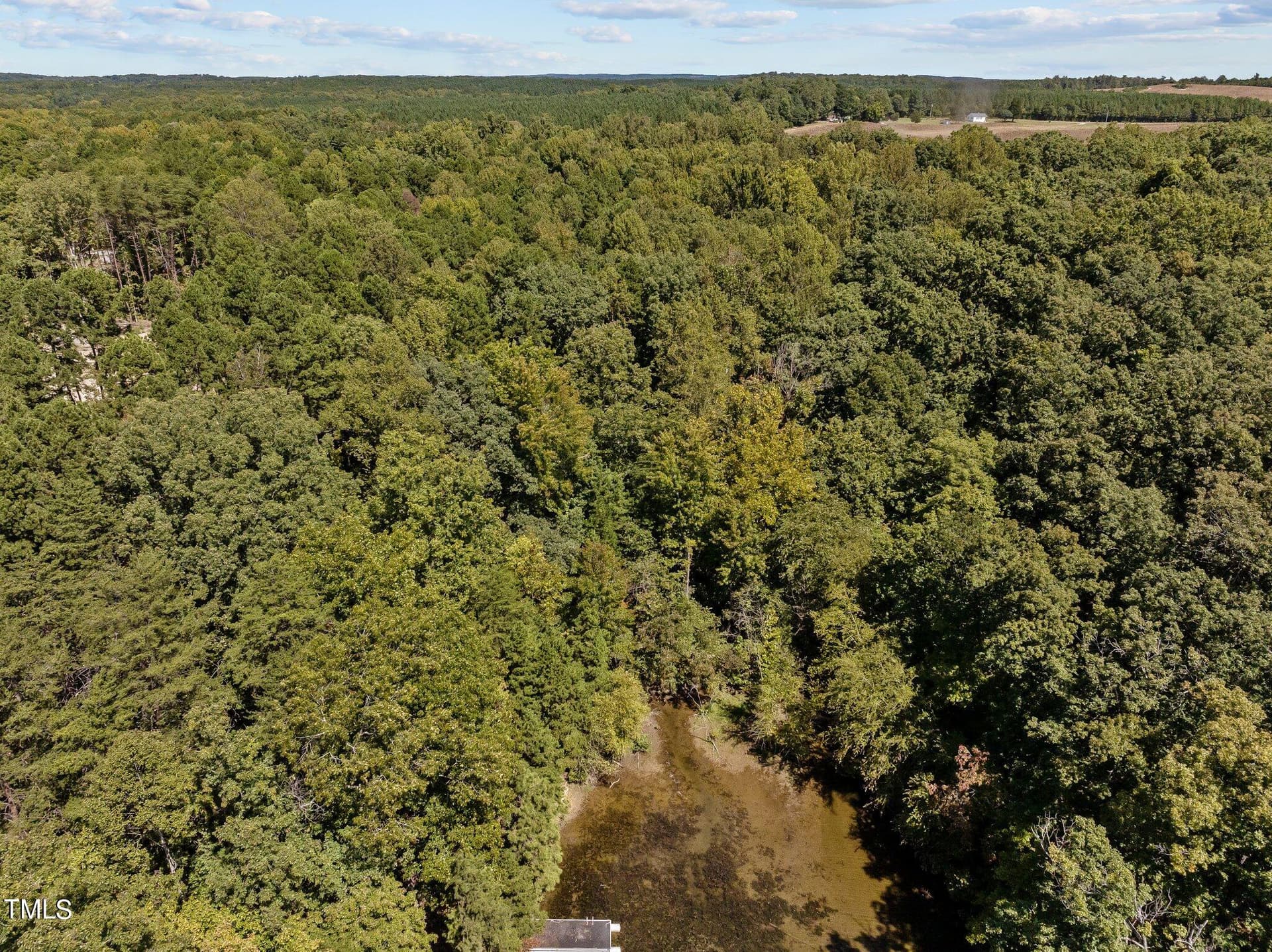 12-web-or-mls-DJI_20240910131123_0998_D - 17.03ac New Mayo Drive, Roxboro, NC 27574