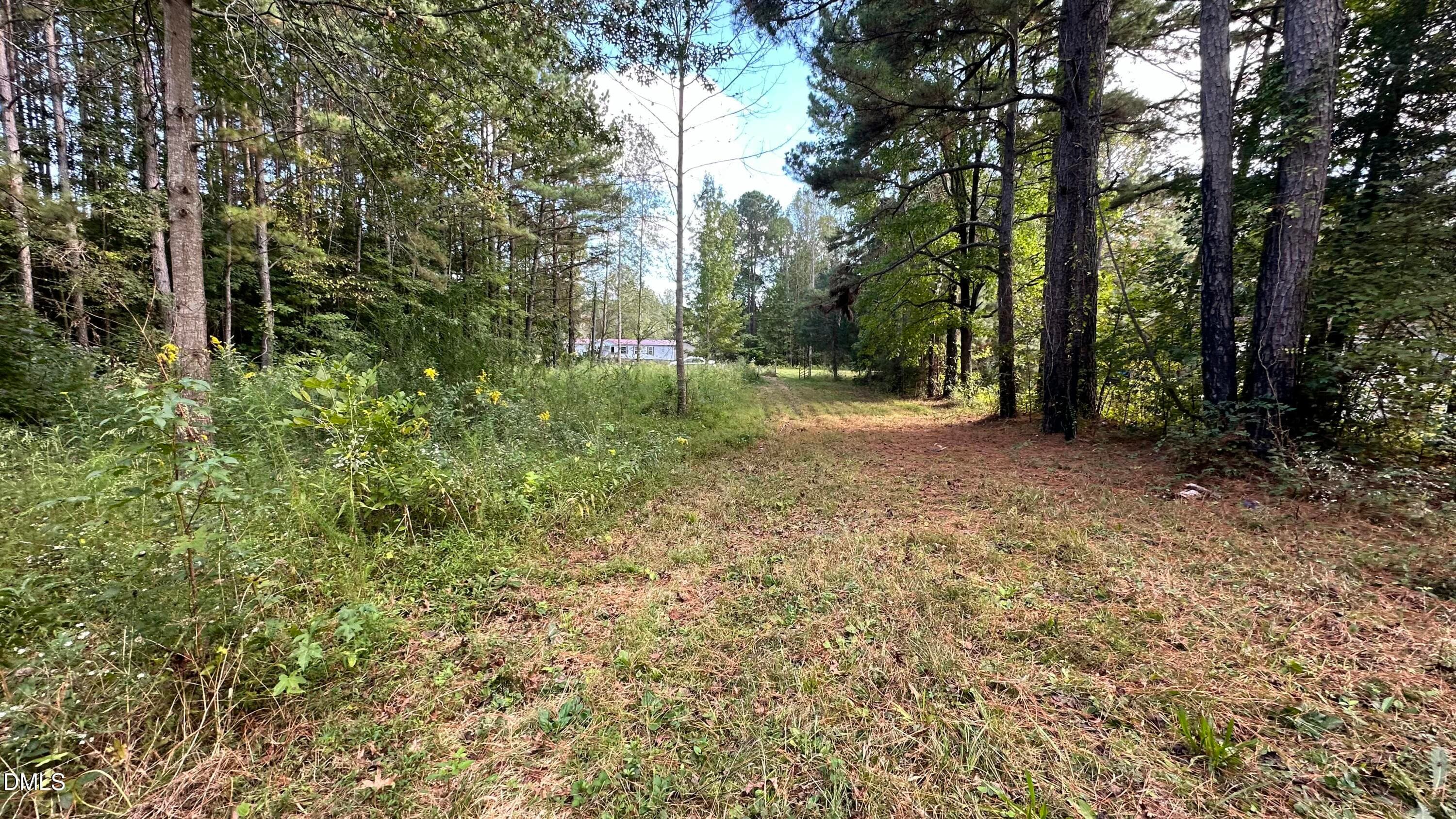 IMG_6263 - 1539 Schloss Road, Louisburg, NC 27549, Louisburg