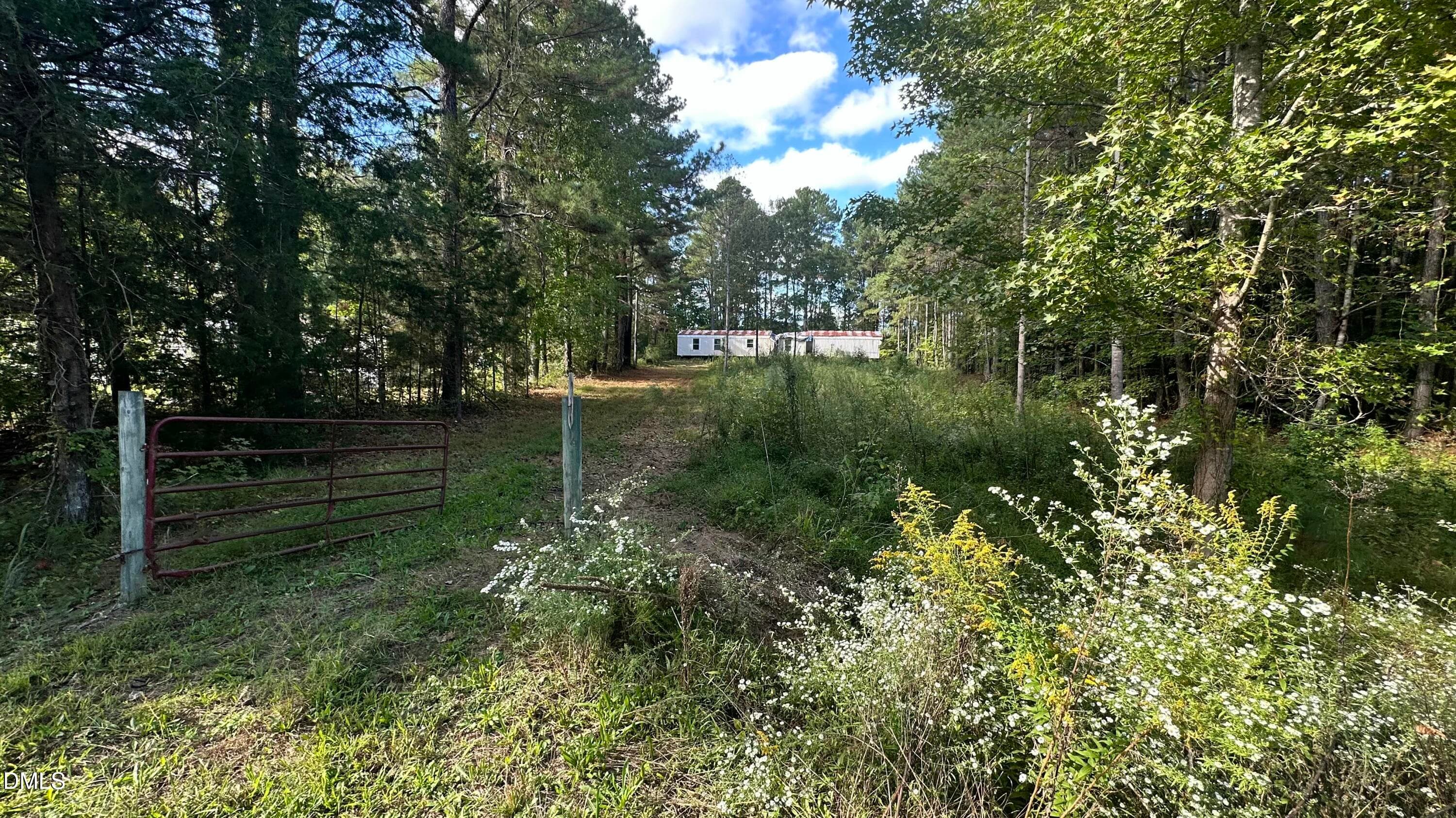 IMG_6266 - 1539 Schloss Road, Louisburg, NC 27549, Louisburg