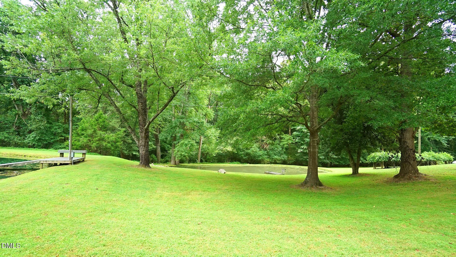 DSC03405 - 8509 Stagville Road, Bahama, NC 27503, Bahama