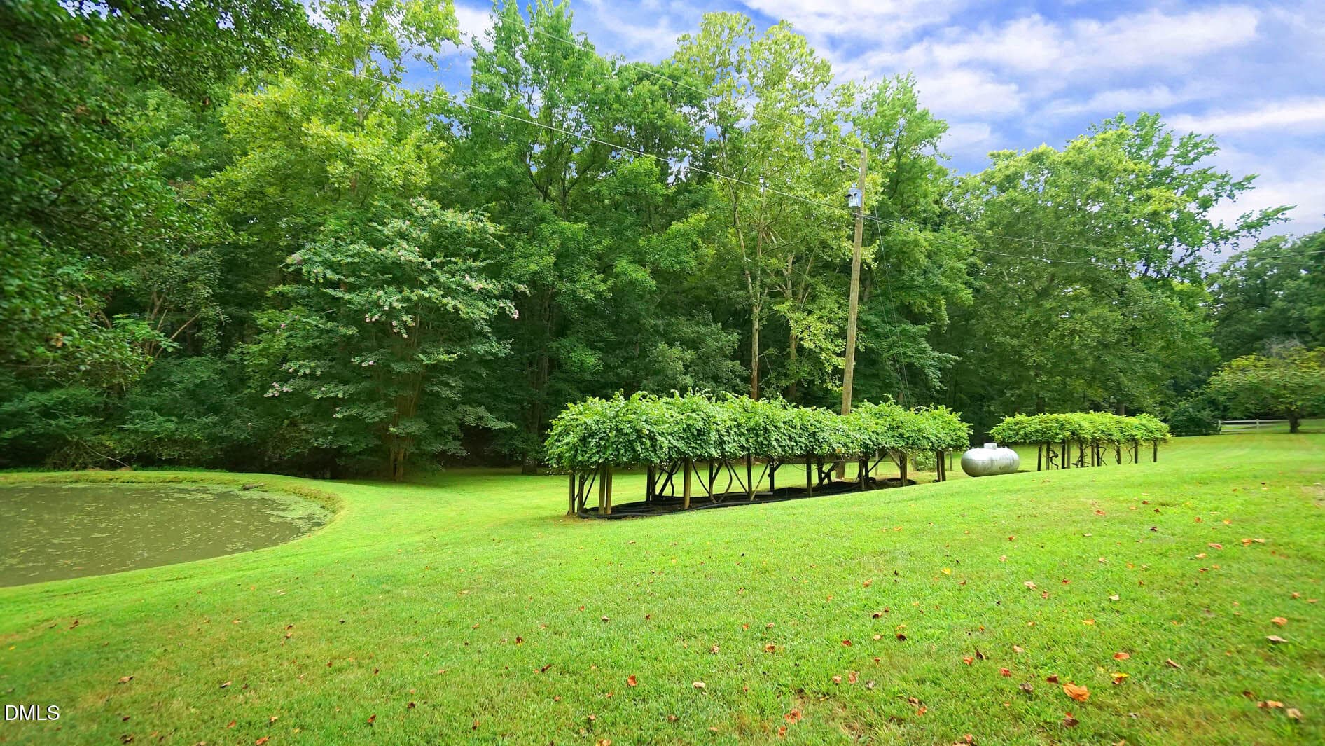 DSC03413 - 8509 Stagville Road, Bahama, NC 27503, Bahama
