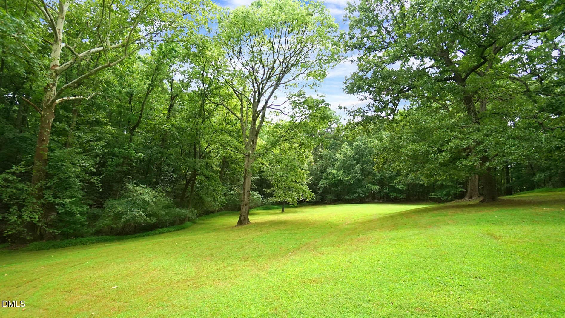 DSC03447 - 8509 Stagville Road, Bahama, NC 27503, Bahama