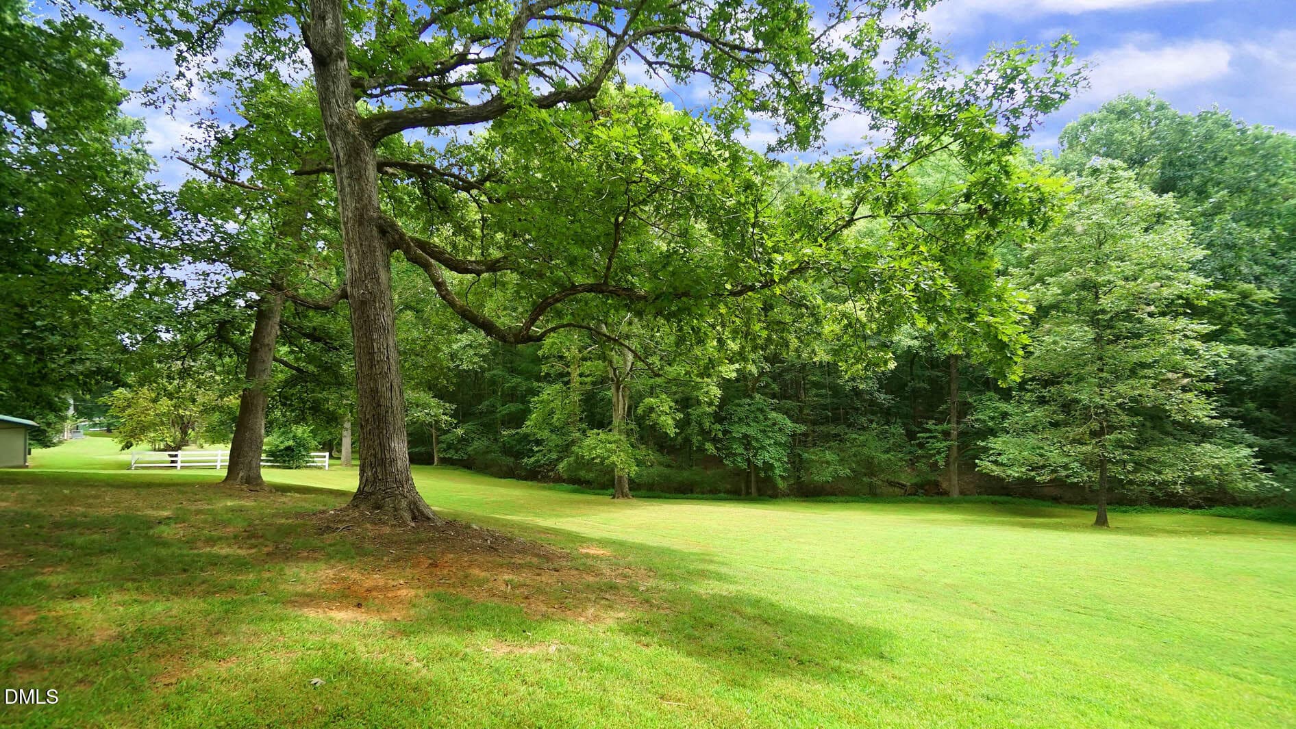 DSC03448 - 8509 Stagville Road, Bahama, NC 27503, Bahama