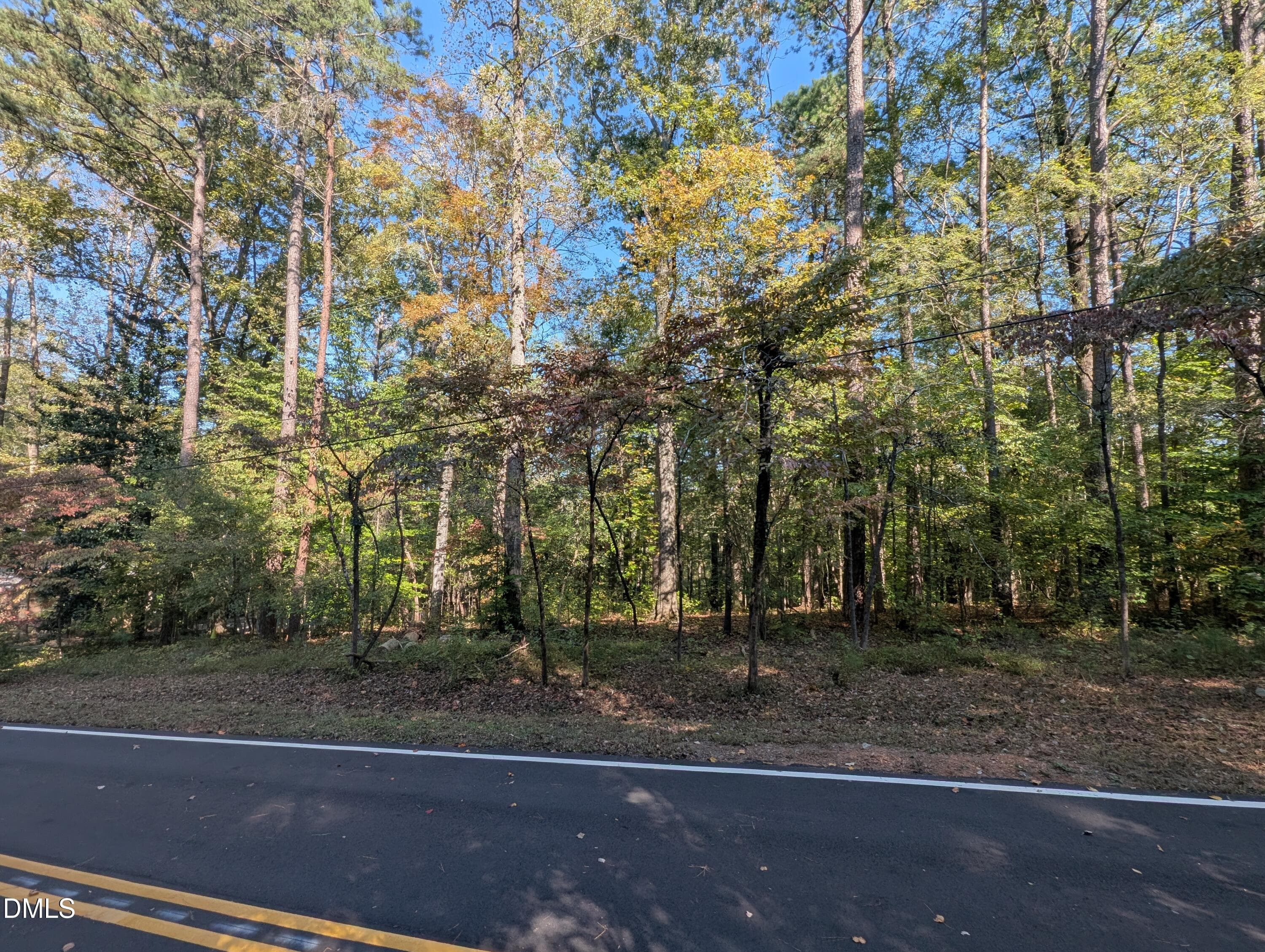 PXL_20251018_183818132 - 1417 Poinsett Drive, Chapel Hill, NC 27517, Chapel Hill