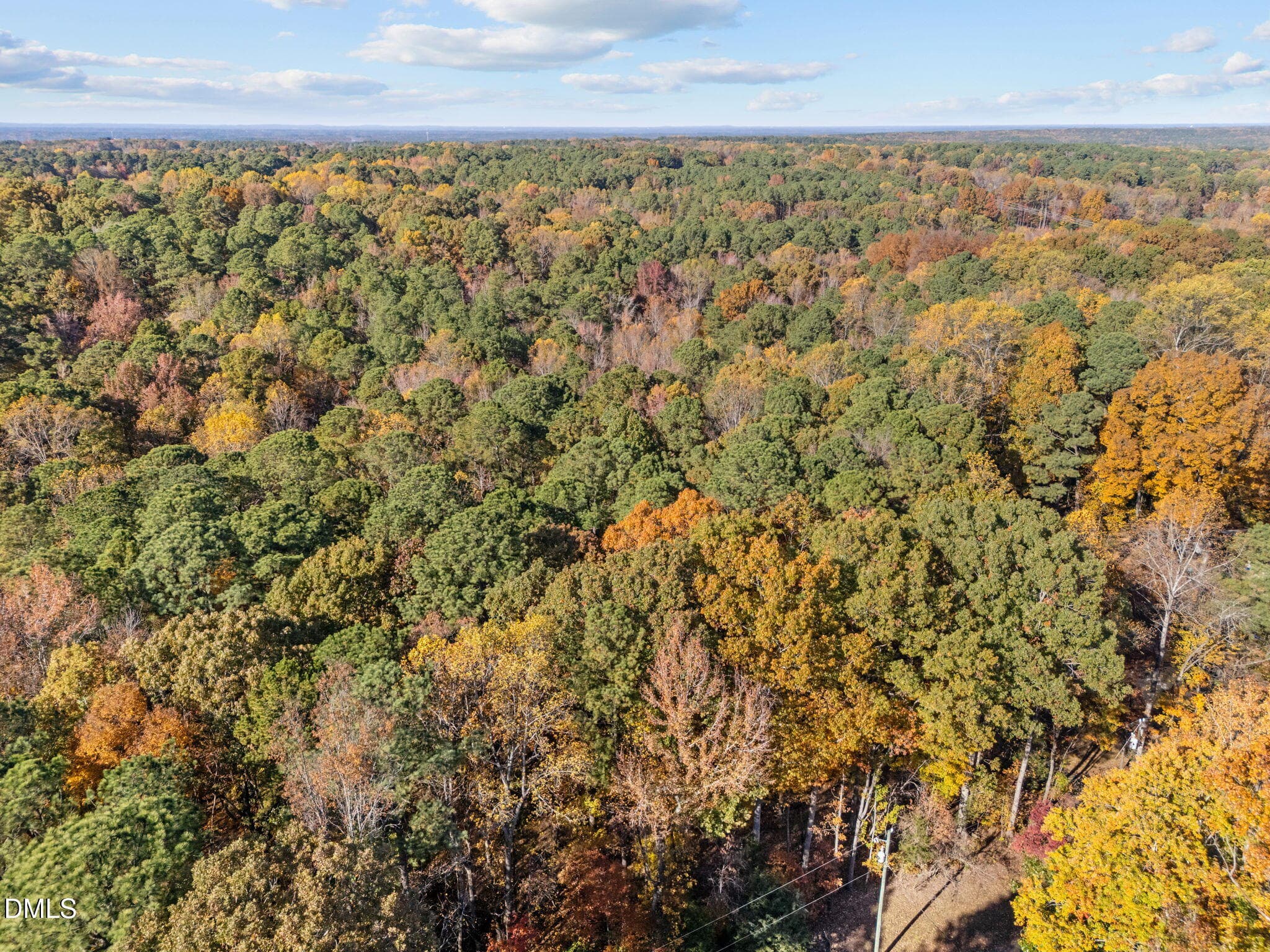 7-web-or-mls-DJI_20251106141456_0619_D - 11125 Lakeshore Drive, Raleigh, NC 27613, Raleigh