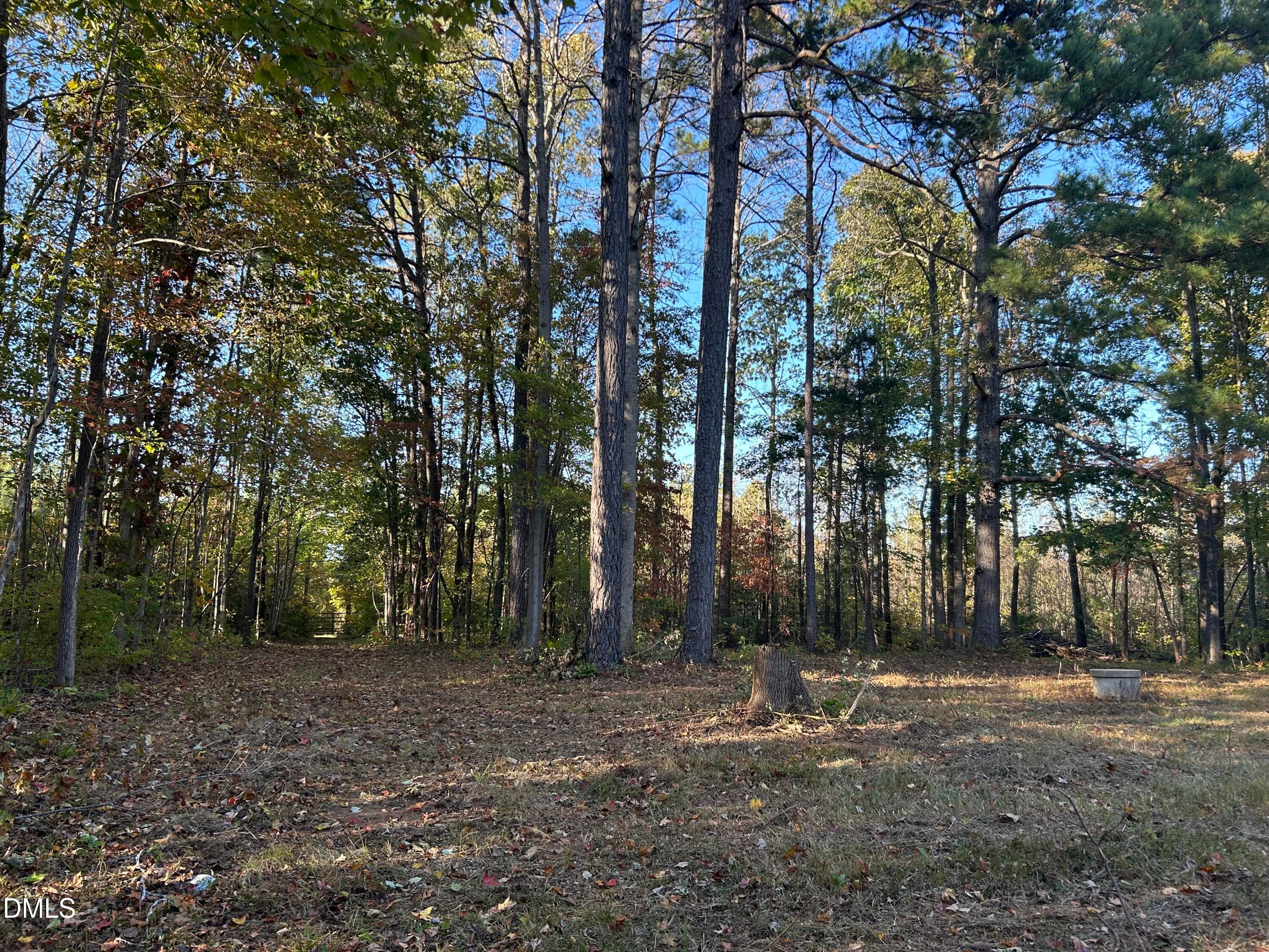 IMG_3890 - 1539 Schloss Road, Louisburg, NC 27549, Louisburg