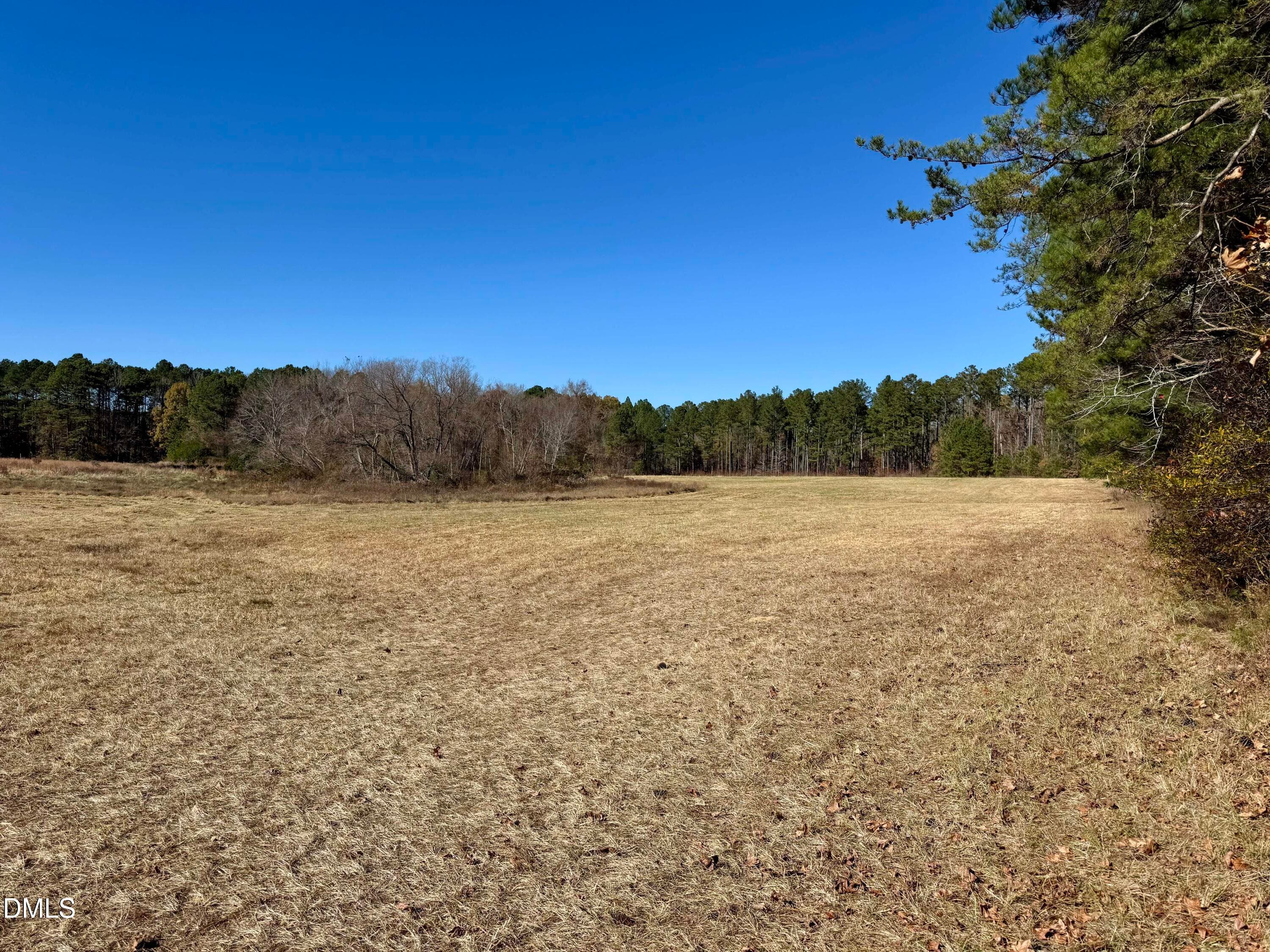 Hamlin Rd. - Field - 2207 Hamlin Road, Durham, NC 27704