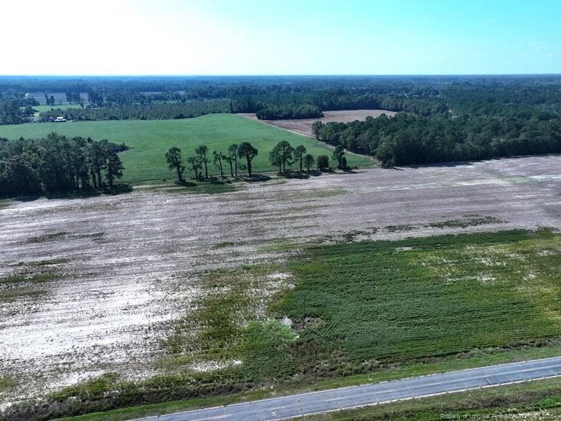 TBD Cowpen Swamp Road, Fairmont, NC 28340