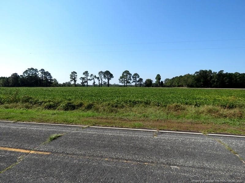 Photo 3 - TBD Cowpen Swamp Road, Fairmont, NC 28340