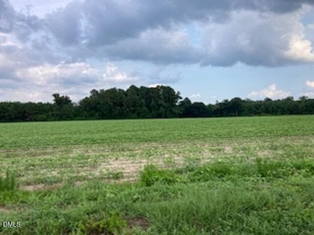 Waycross Farmland 2 - 0 Waycross Road, Turkey, NC 28393