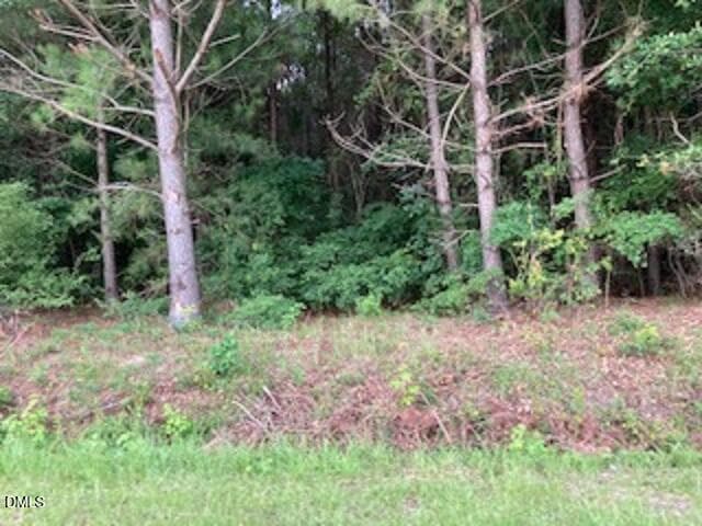 Waycross Timber - 0 Waycross Road, Turkey, NC 28393
