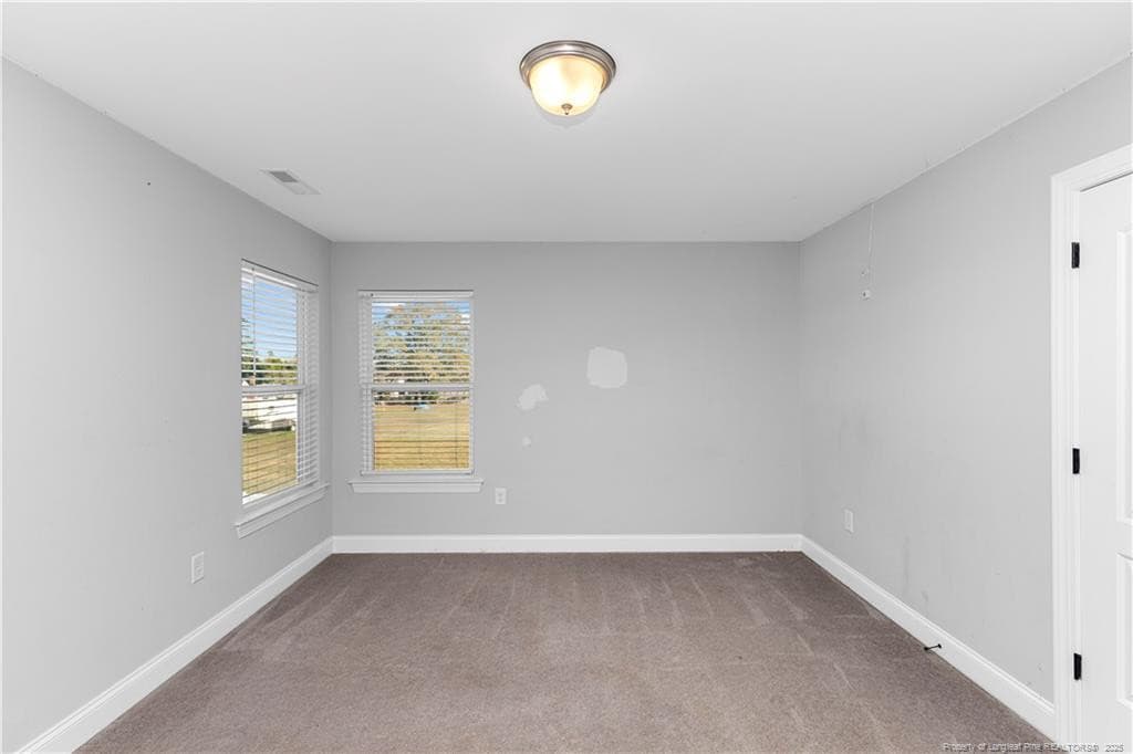 Photo 21 - 201 Lucas Road, Dunn, NC 28334