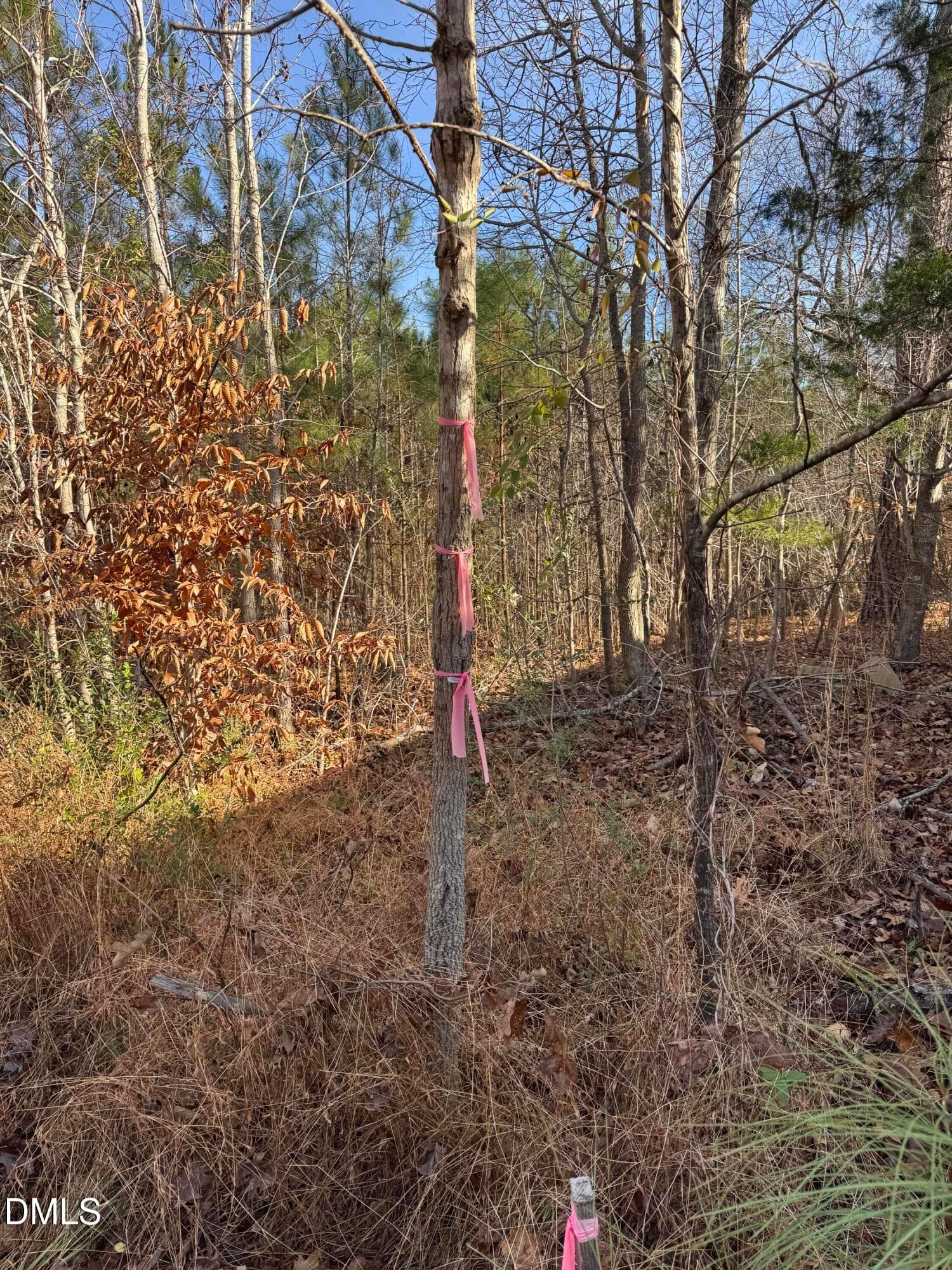 00 Matthews 7 - 00 Matthews Drive, Henderson, NC 27537