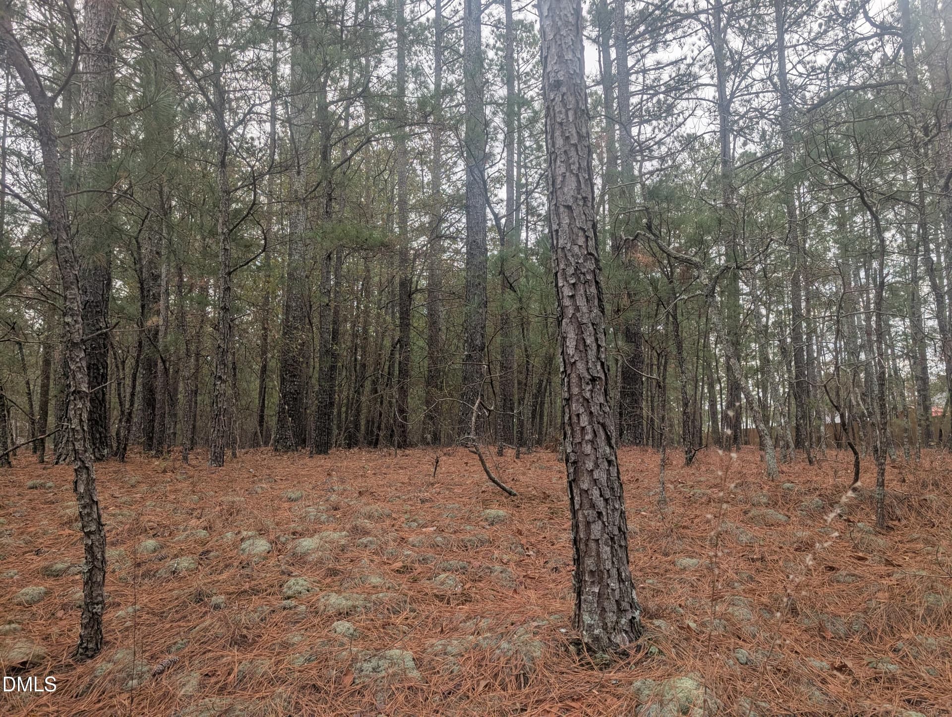 13 Saw Grass Road, Eagle Springs, NC 27242