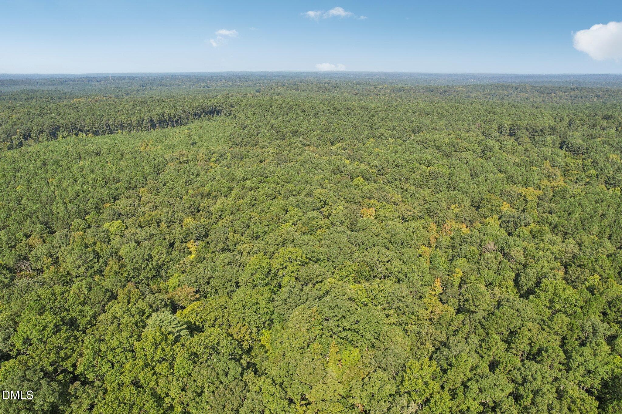 10-web-or-mls-S Rocky River Rd-007 - 0 River Forks Road, Moncure, NC 27559