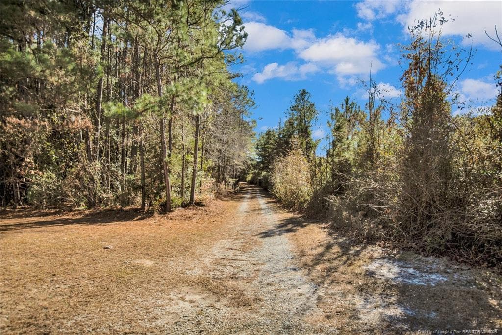 Photo 29 - 3460 Big Piney Grove Road, Clinton, NC 28328