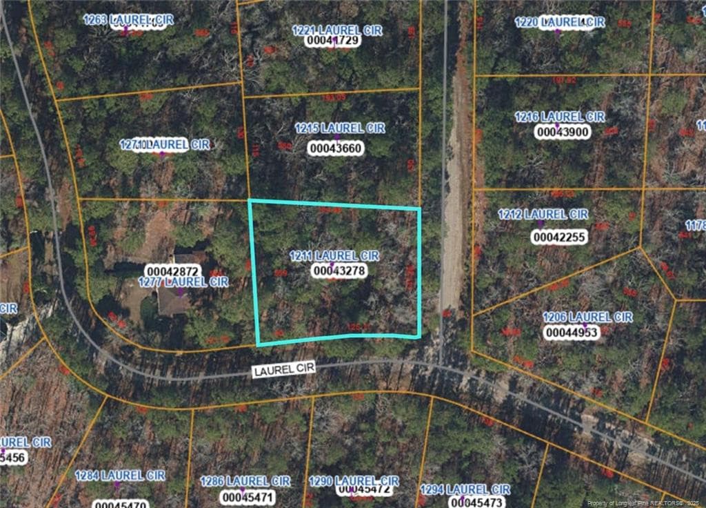 Photo 4 - 1211 Laurel Circle, Vass, NC 28394