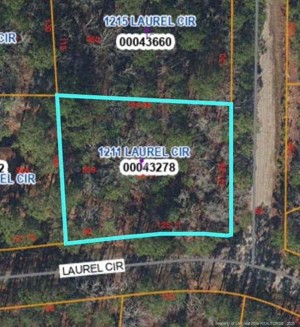 Photo 3 - 1211 Laurel Circle, Vass, NC 28394