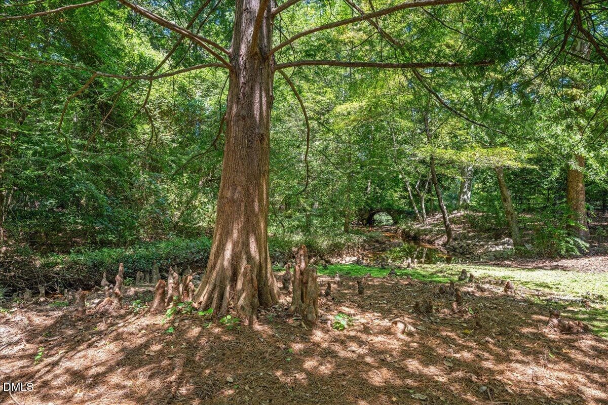 11-11 - 512 Hertford Street, Raleigh, NC 27609, Raleigh