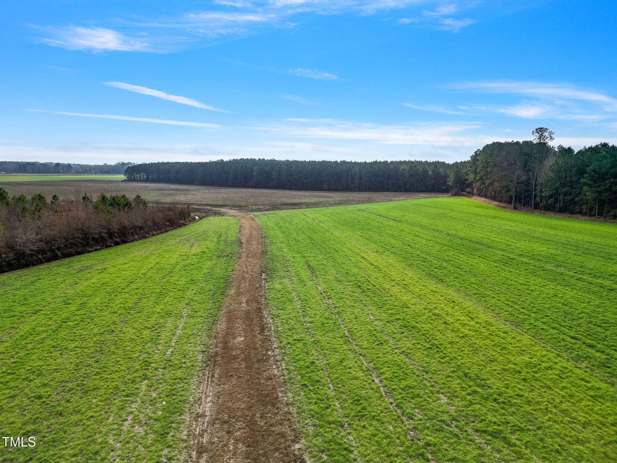 3-web-or-mls-DJI_0870 - 0 Ramsey Street, Linden, NC 28356
