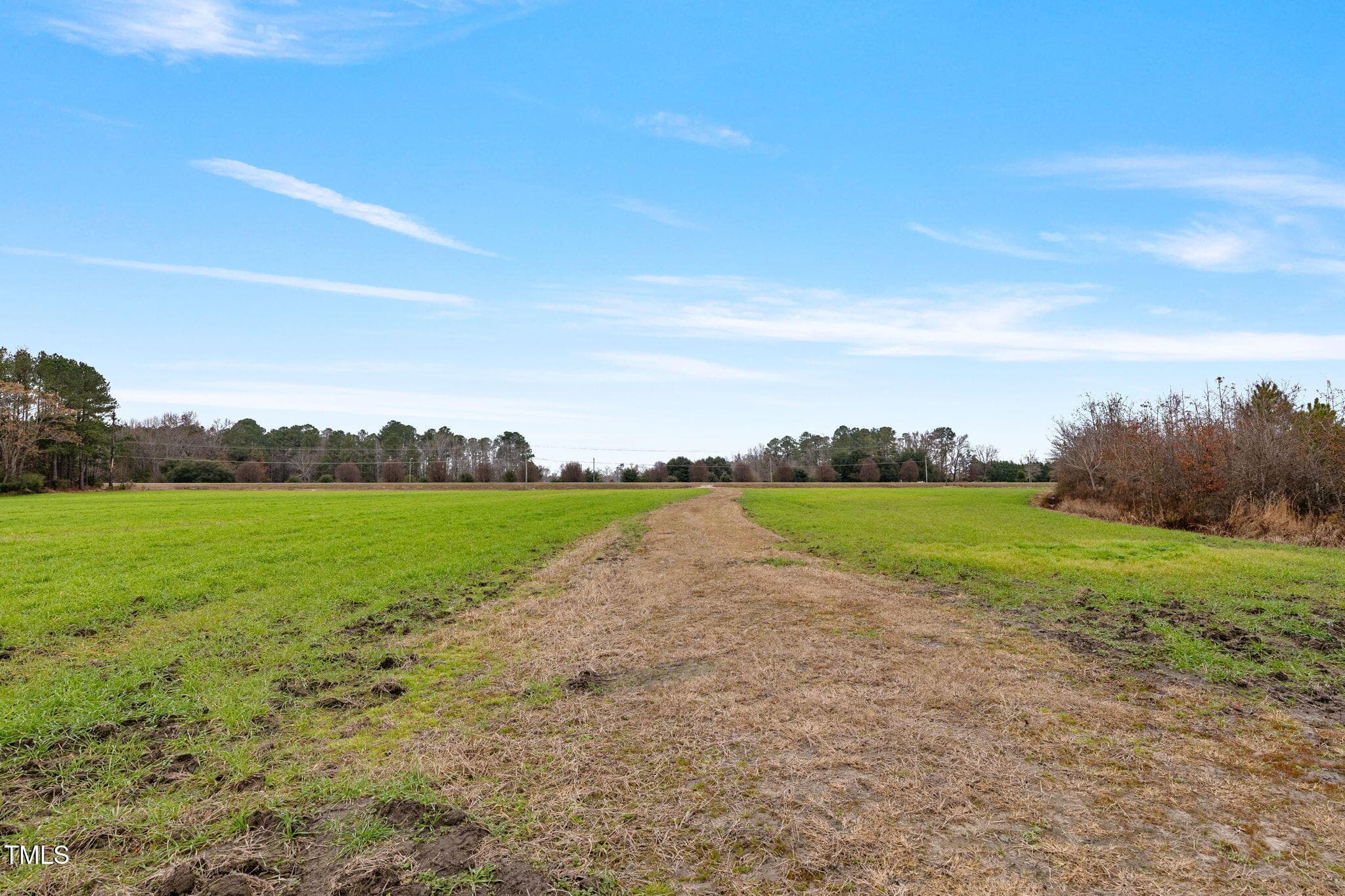 6-web-or-mls-P1331295 - 0 Ramsey Street, Linden, NC 28356