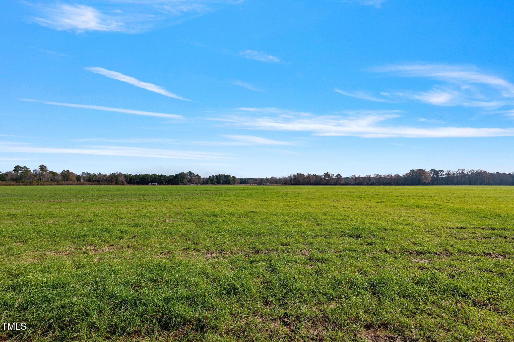 29-web-or-mls-P1331175 - 0 Ramsey Street, Linden, NC 28356