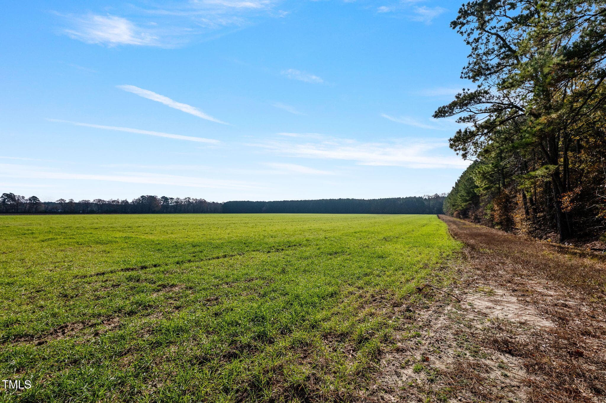 32-web-or-mls-P1331195 - 0 Ramsey Street, Linden, NC 28356