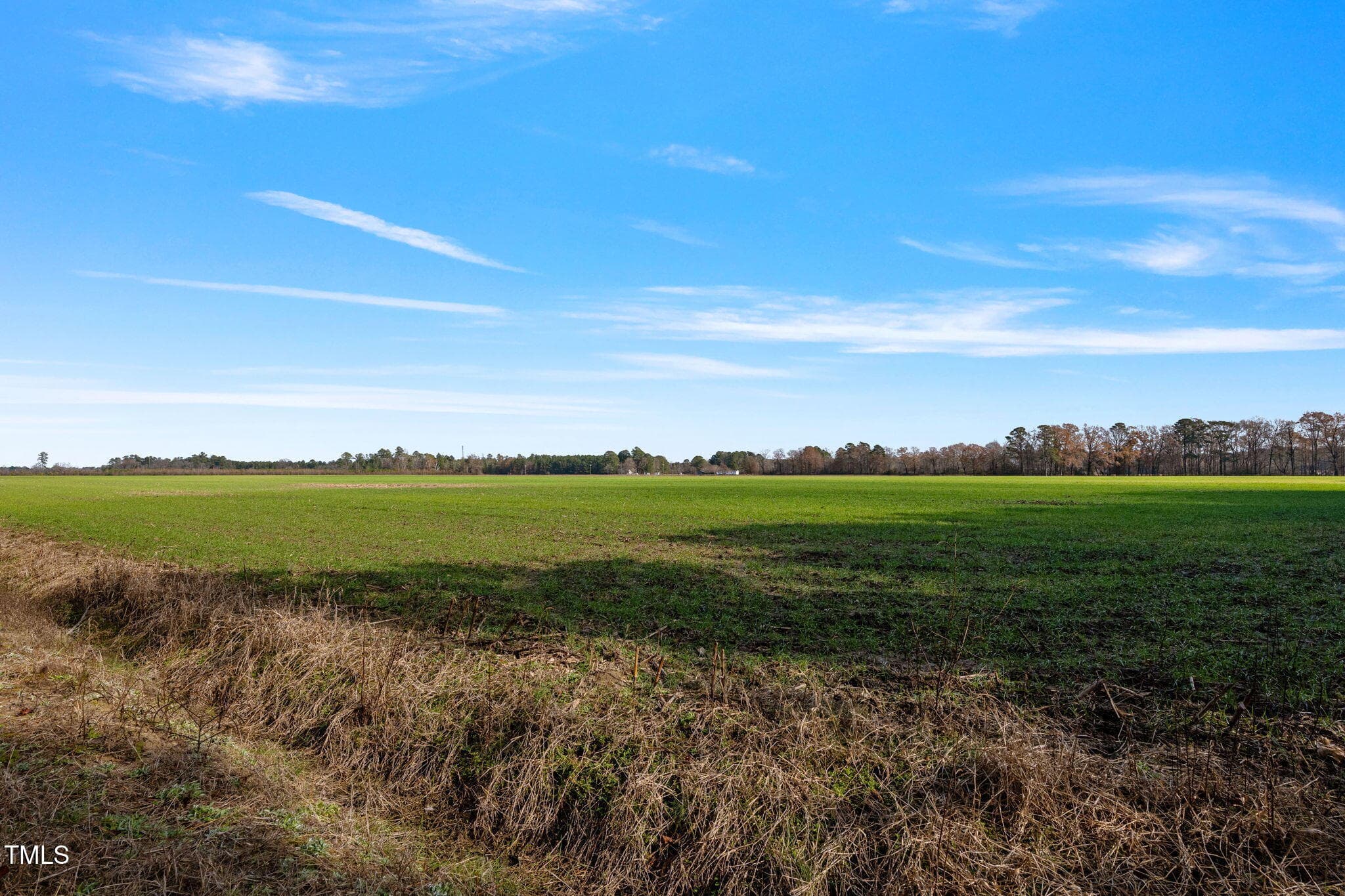 33-web-or-mls-P1331215 - 0 Ramsey Street, Linden, NC 28356
