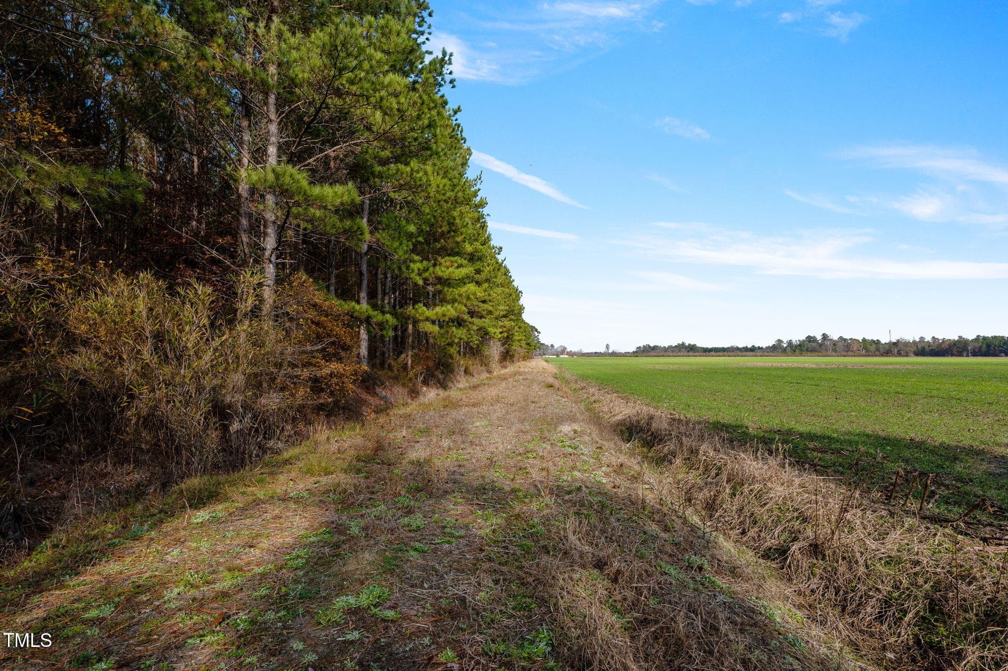 34-web-or-mls-P1331220 - 0 Ramsey Street, Linden, NC 28356