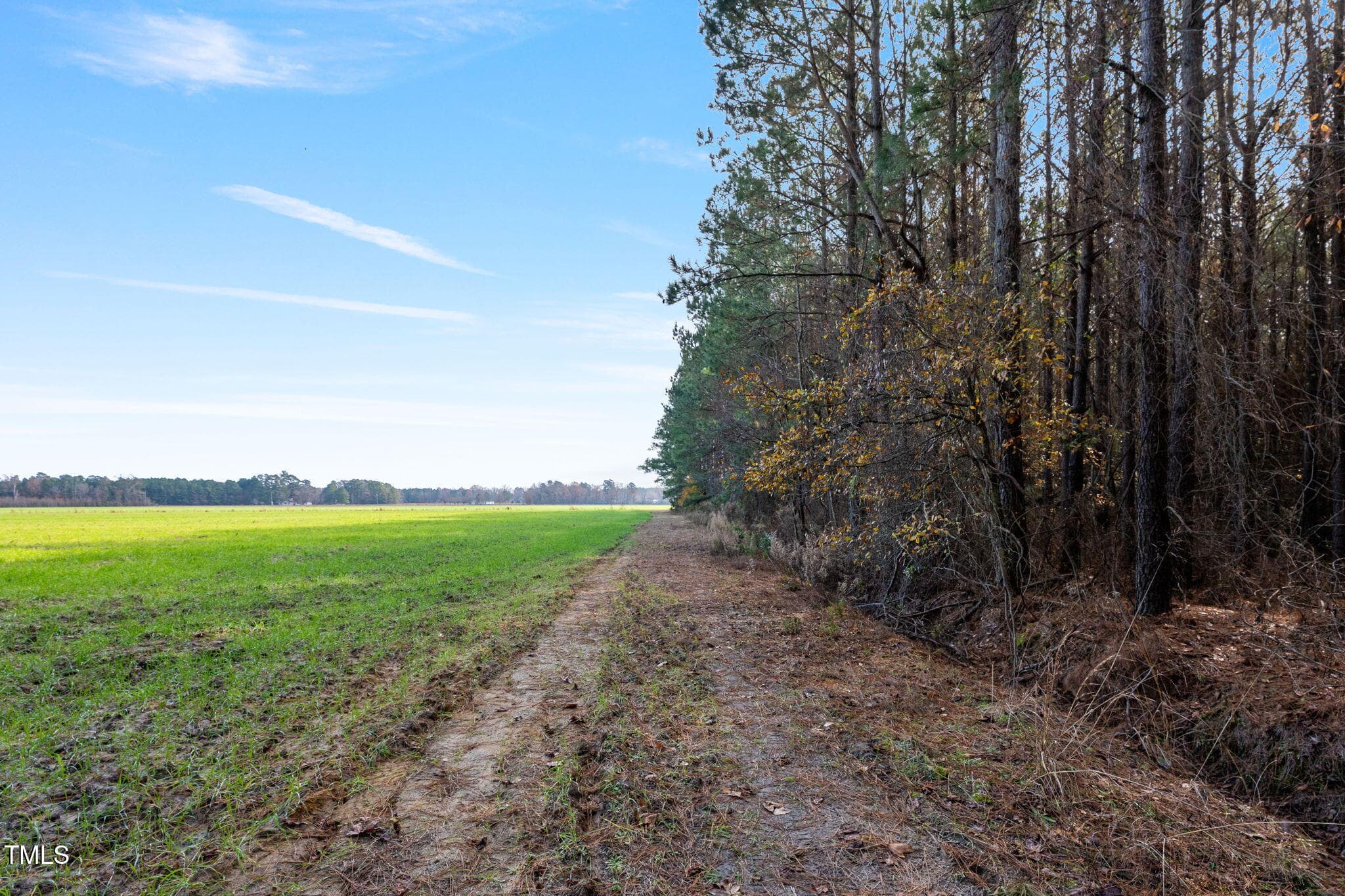 36-web-or-mls-P1331235 - 0 Ramsey Street, Linden, NC 28356