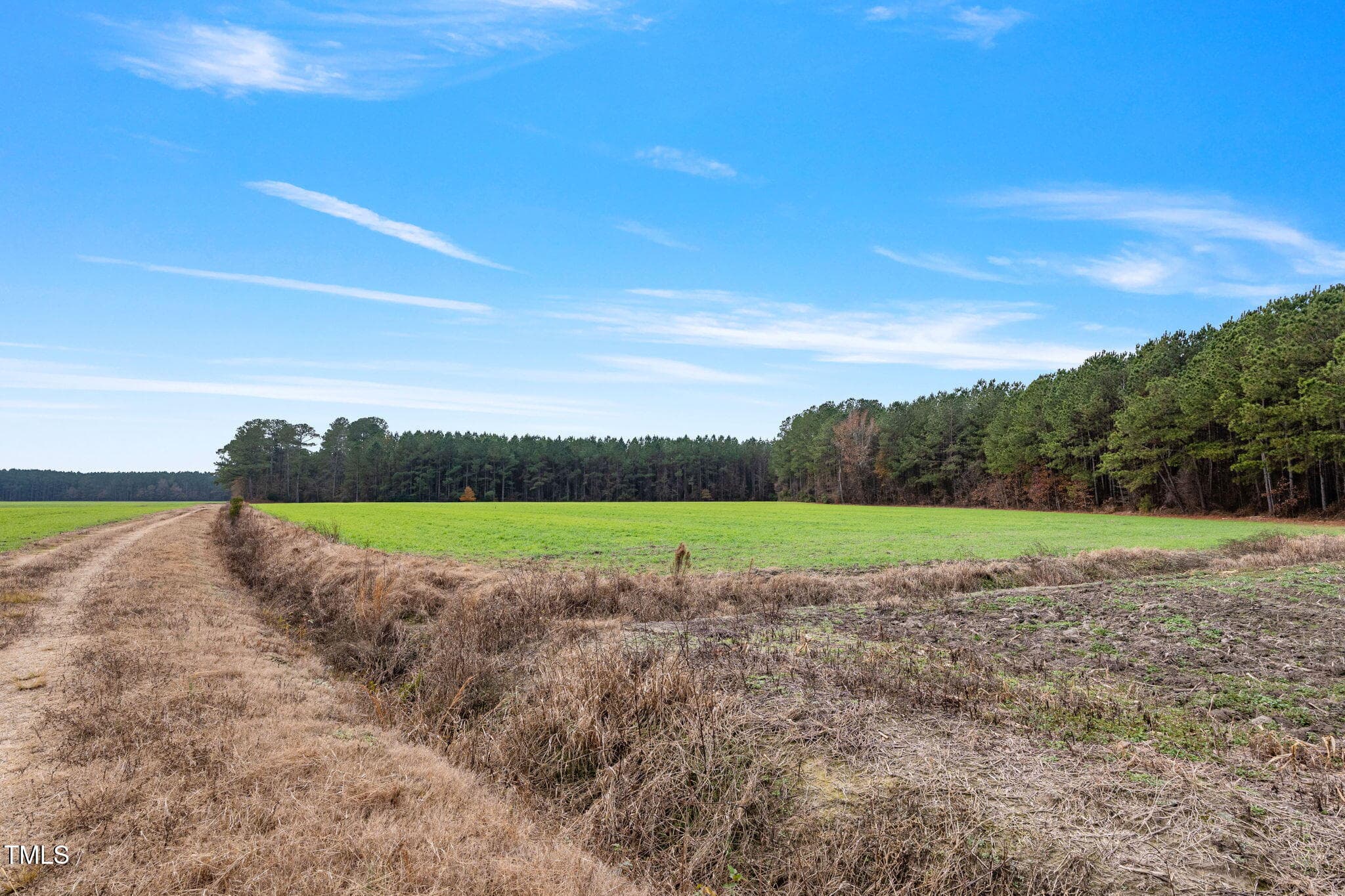 38-web-or-mls-P1331245 - 0 Ramsey Street, Linden, NC 28356