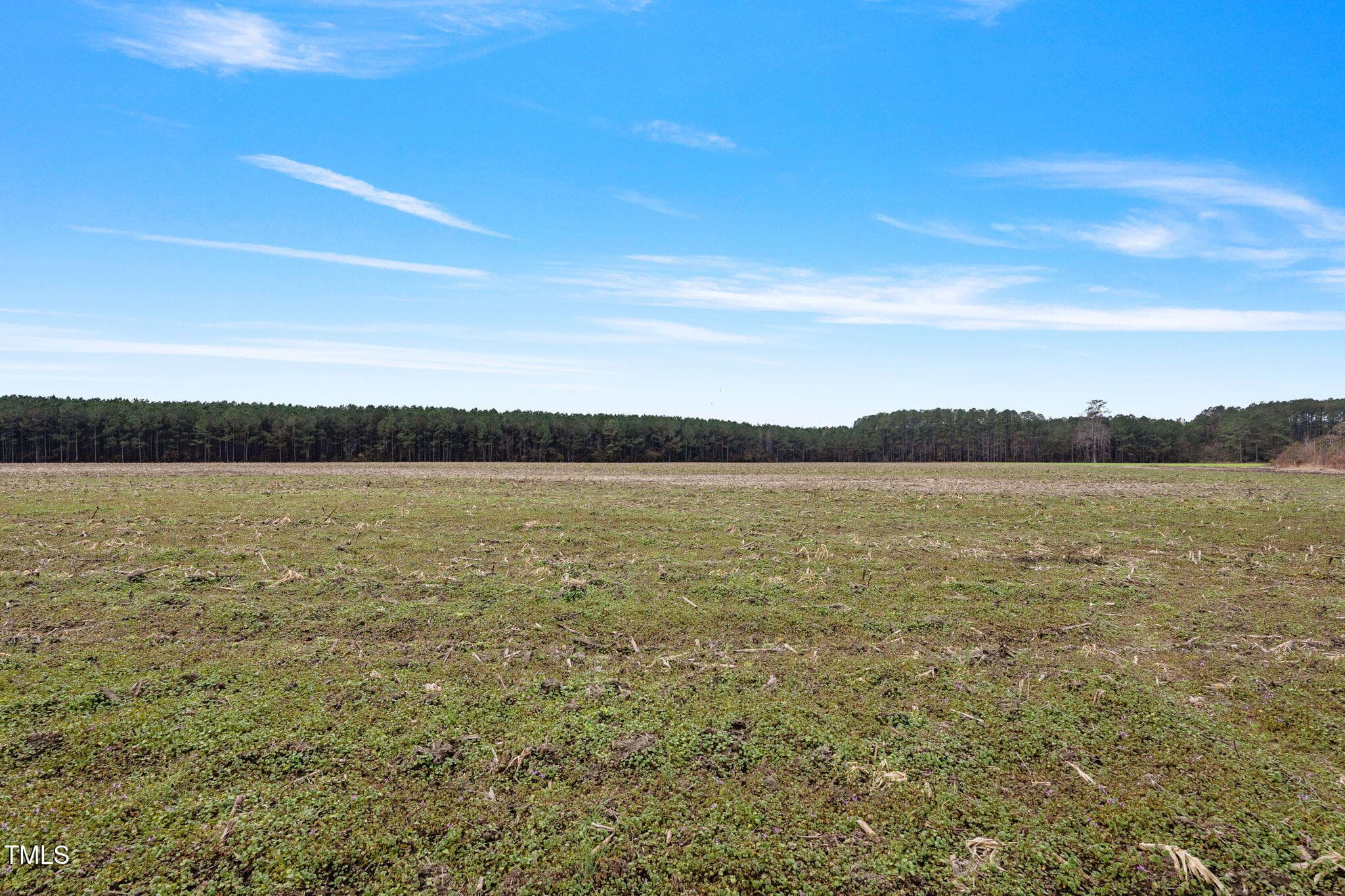 39-web-or-mls-P1331260 - 0 Ramsey Street, Linden, NC 28356