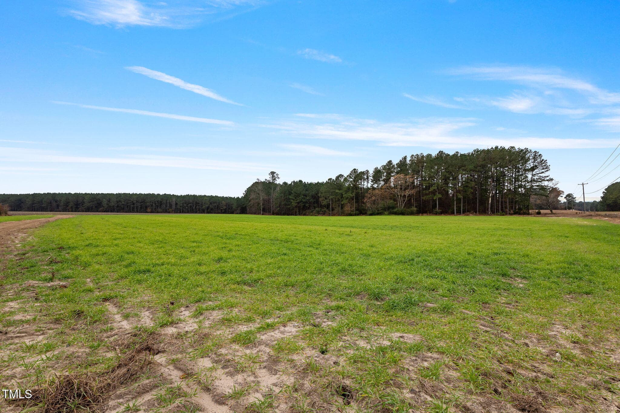 42-web-or-mls-P1331315 - 0 Ramsey Street, Linden, NC 28356
