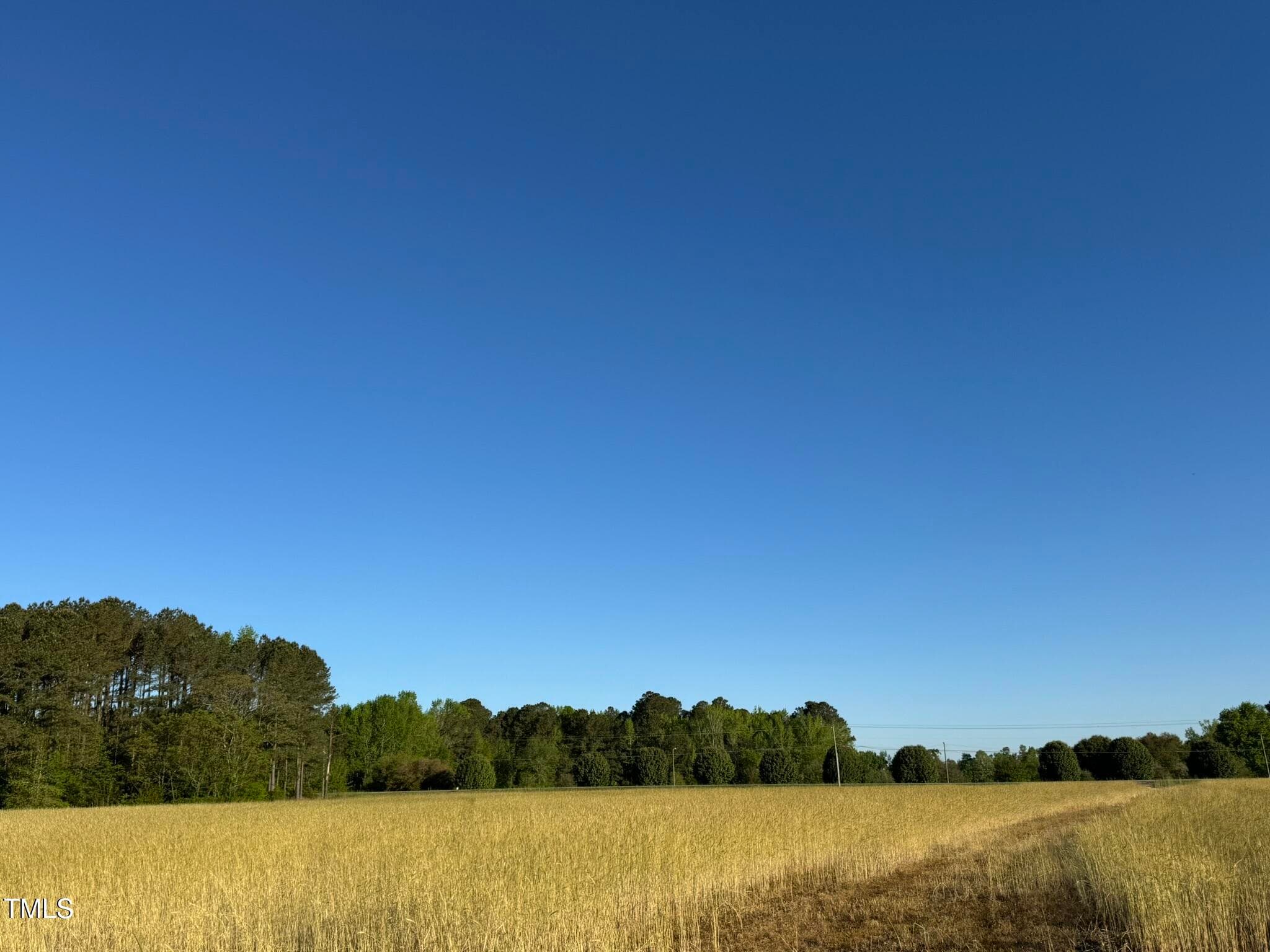 IMG_1548 - 0 Ramsey Street, Linden, NC 28356