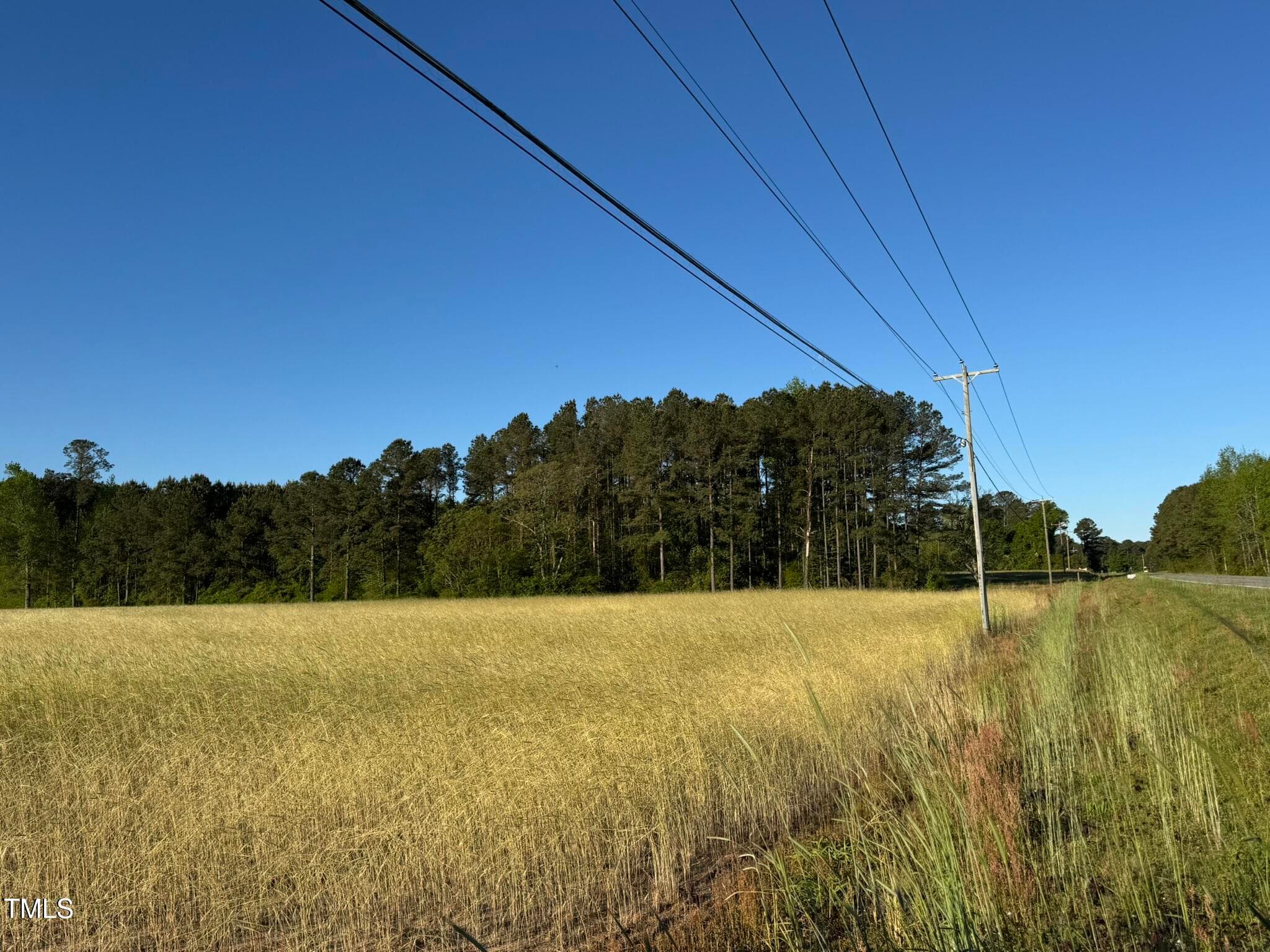 IMG_1553 - 0 Ramsey Street, Linden, NC 28356