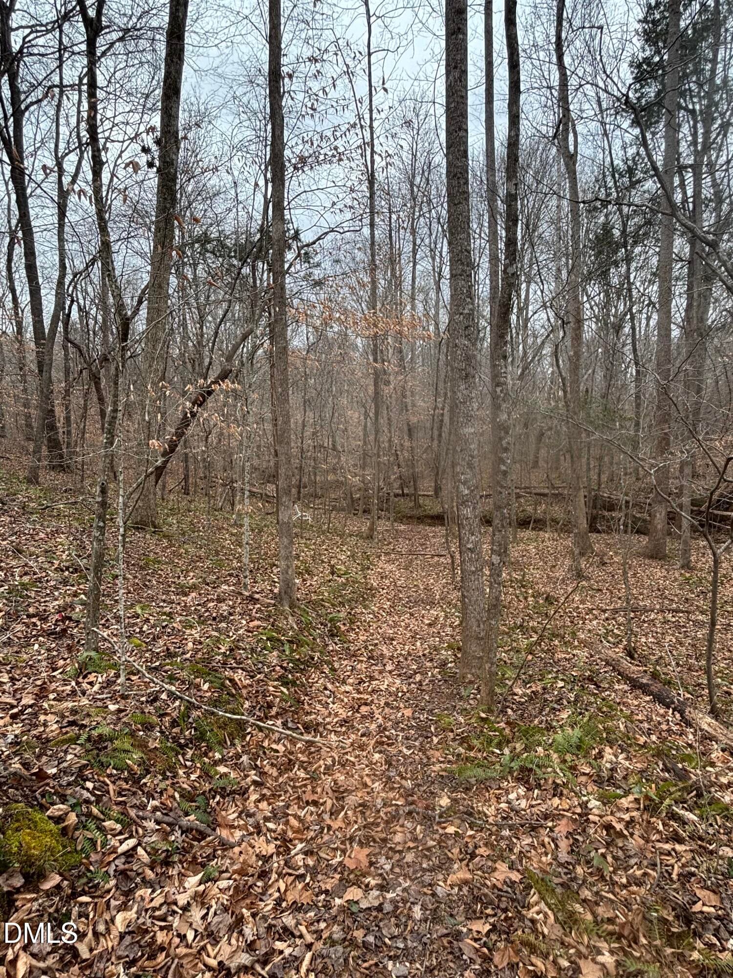 Peaceful setting - 3902 Chucks Court, Burlington, NC 27215, Burlington