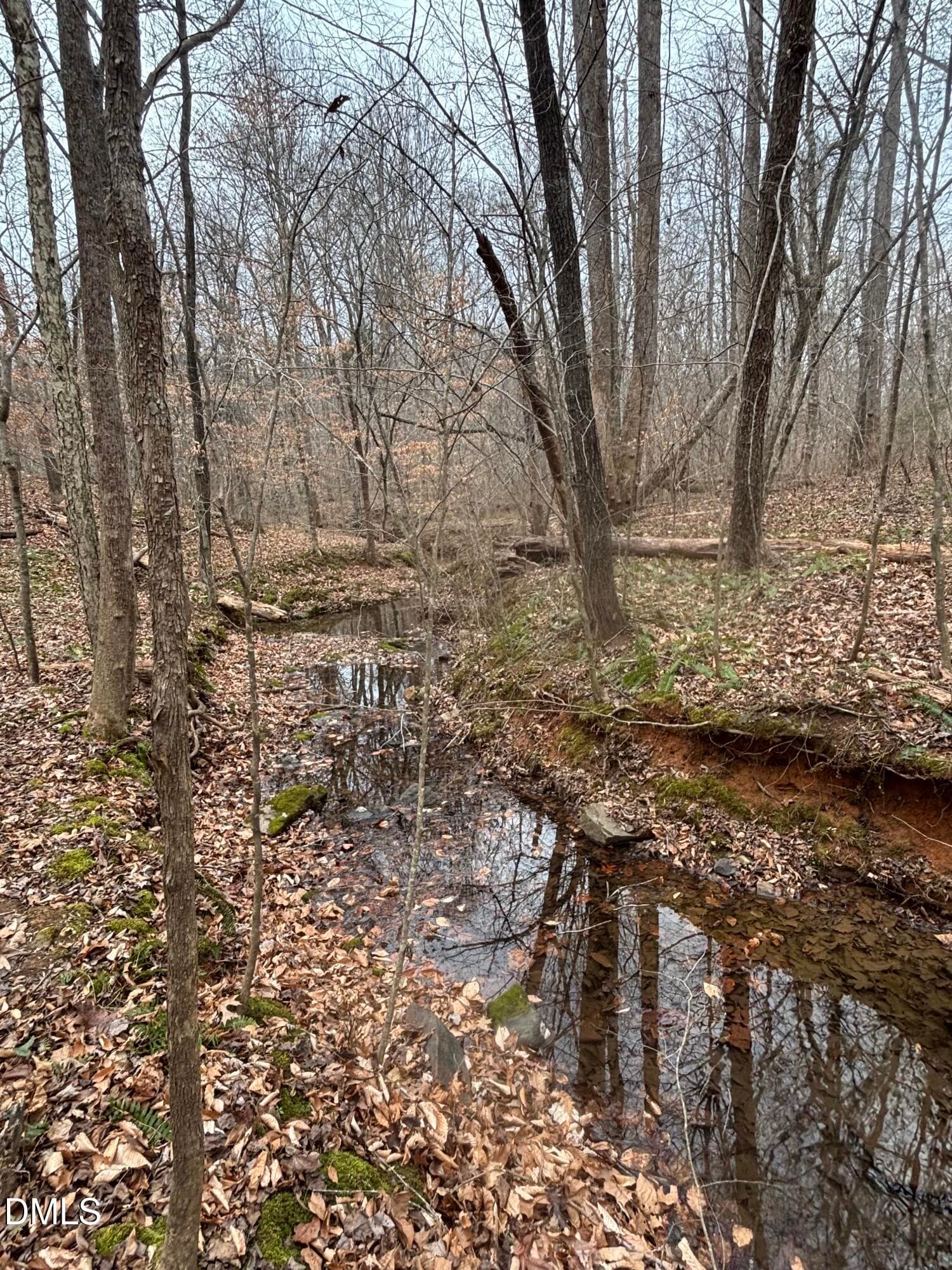 Creek at rear of property - 3902 Chucks Court, Burlington, NC 27215, Burlington
