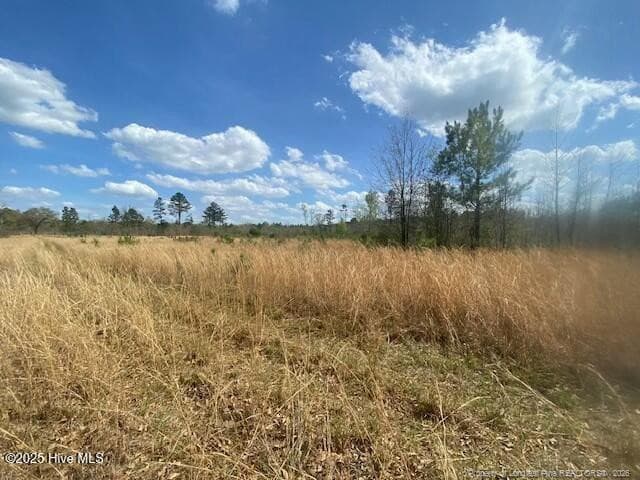 Photo 2 - 28385 Aberdeen Road, Wagram, NC 28396