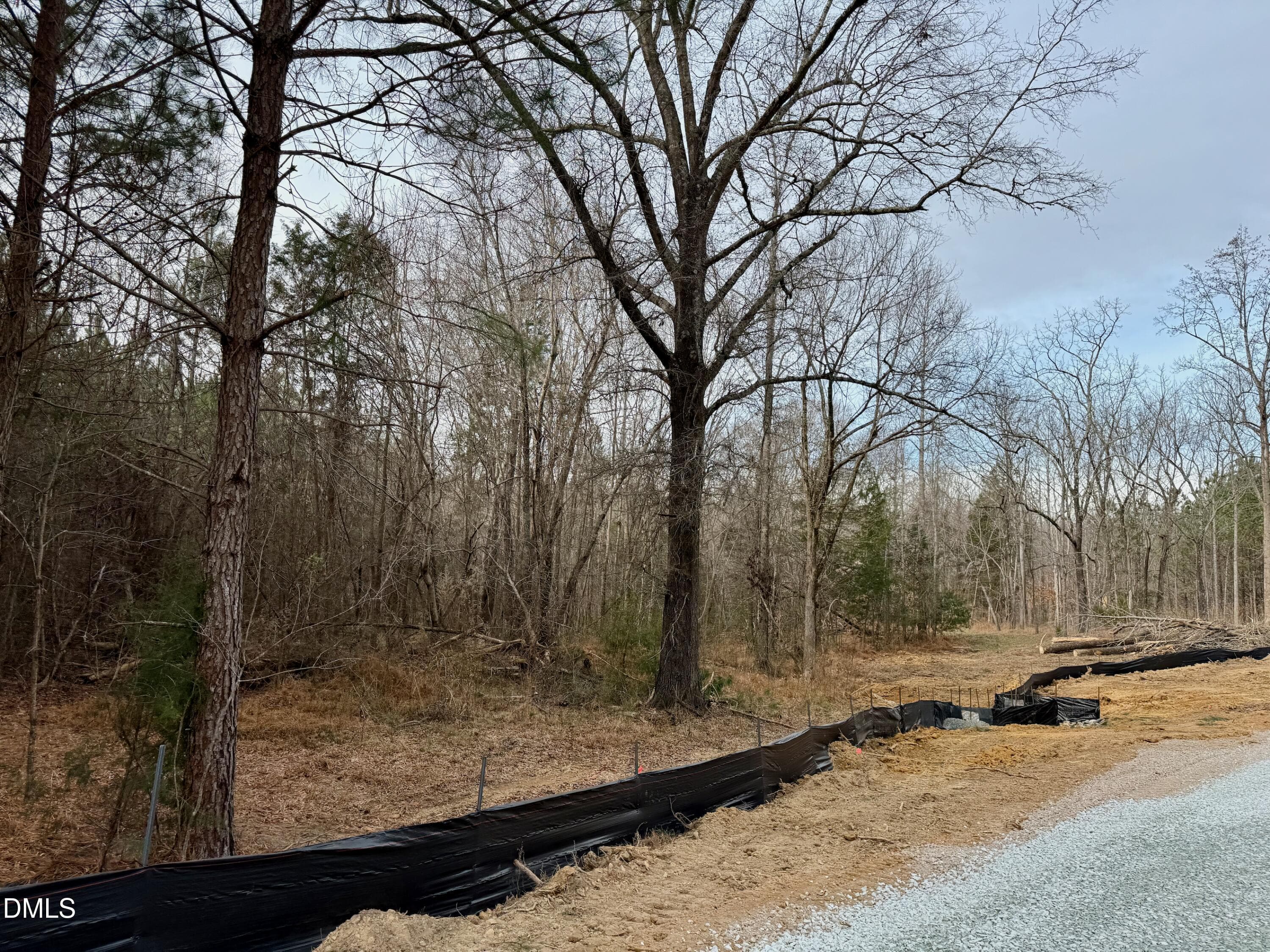 Road Frontage of Lot D - Lot D Wolf Tree Way, Efland, NC 27243
