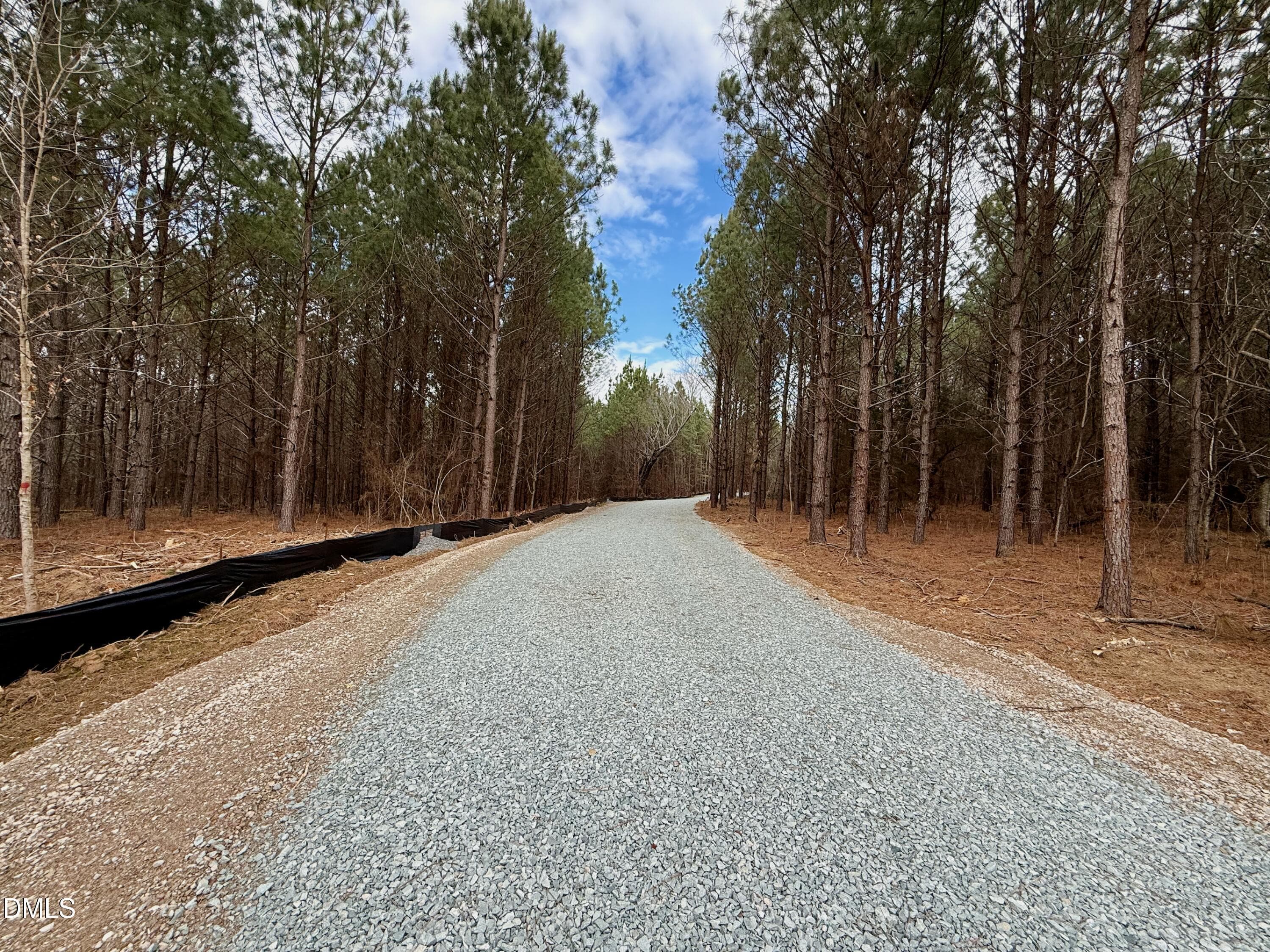 Road Frontage of Lot D - Lot D Wolf Tree Way, Efland, NC 27243