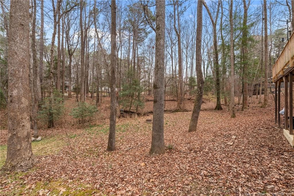 Photo 44 - 326 Harbor Trace, Sanford, NC 27332
