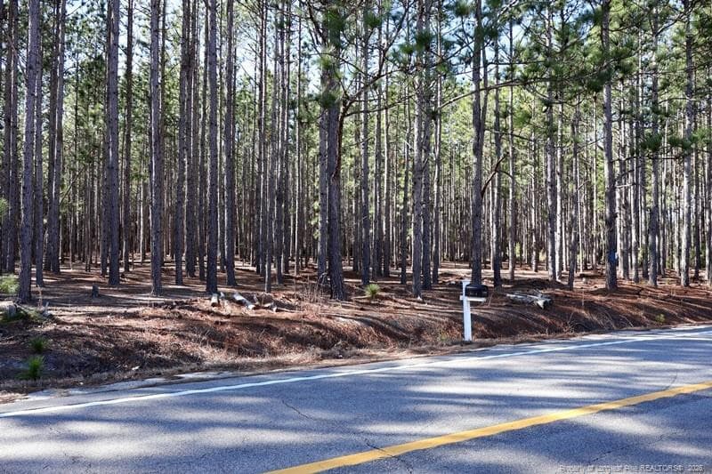 Photo 4 - NC Hwy 130 Highway, Fairmont, NC 28340, Fairmont