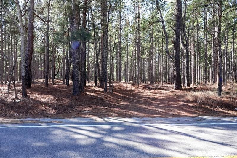 Photo 6 - NC Hwy 130 Highway, Fairmont, NC 28340, Fairmont