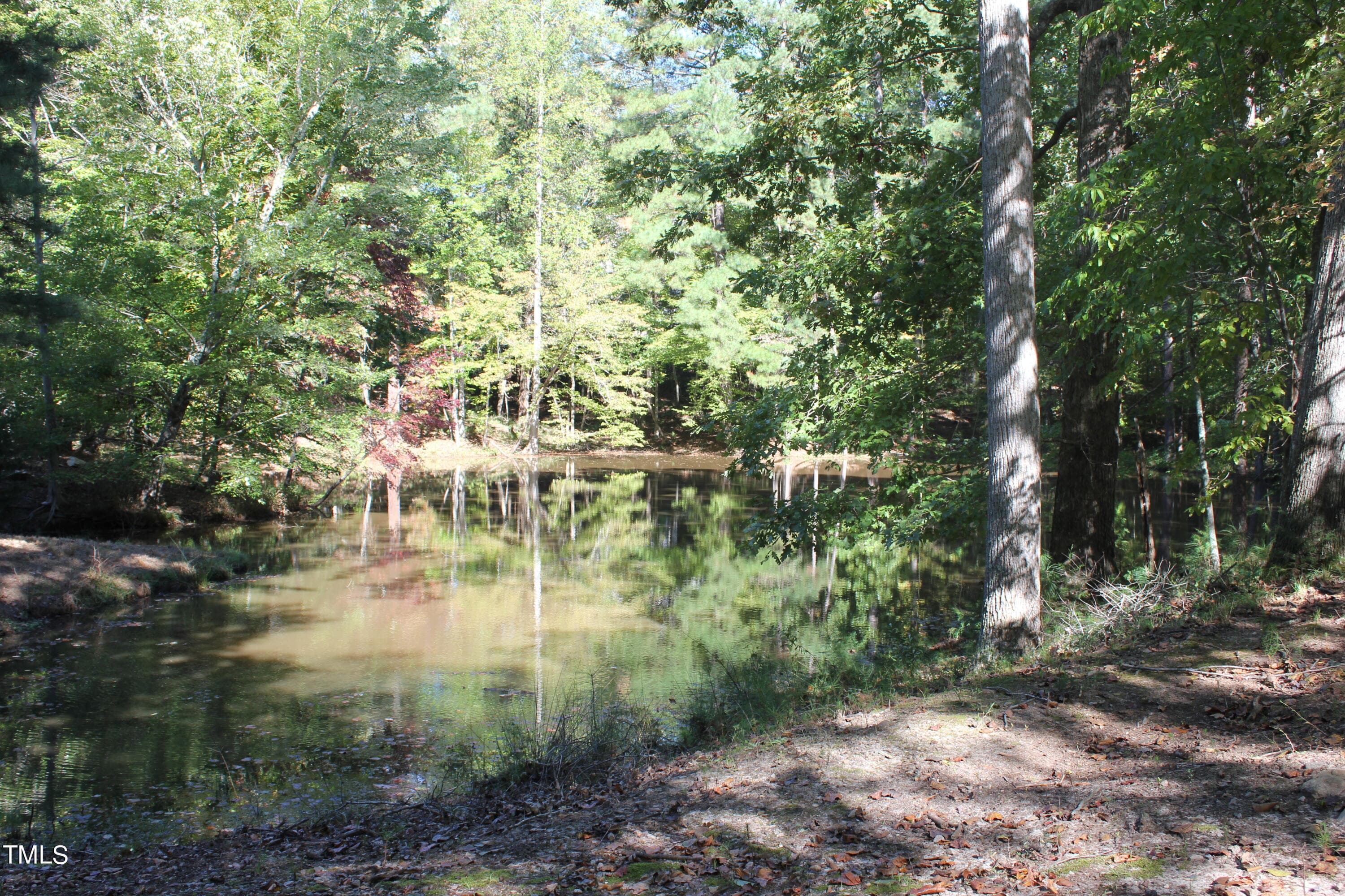 IMG_5376 - 6300 Swallow Cove Lane, Raleigh, NC 27614, Raleigh