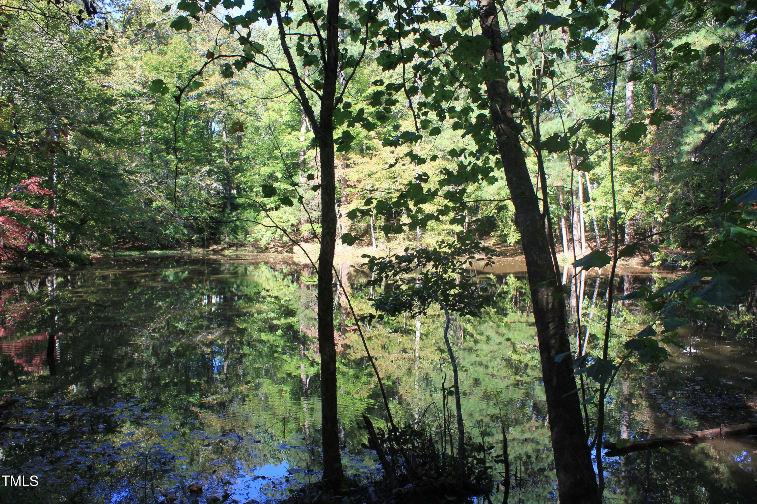 IMG_5380 - 6300 Swallow Cove Lane, Raleigh, NC 27614, Raleigh