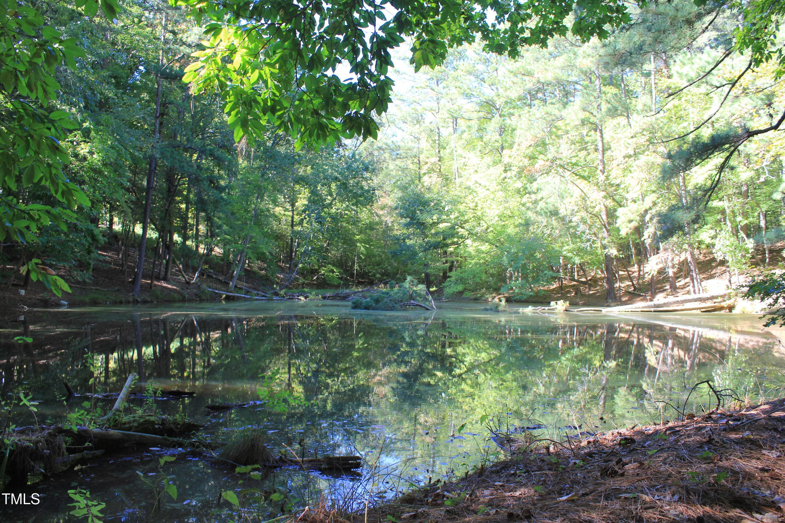 IMG_5382 - 6300 Swallow Cove Lane, Raleigh, NC 27614, Raleigh
