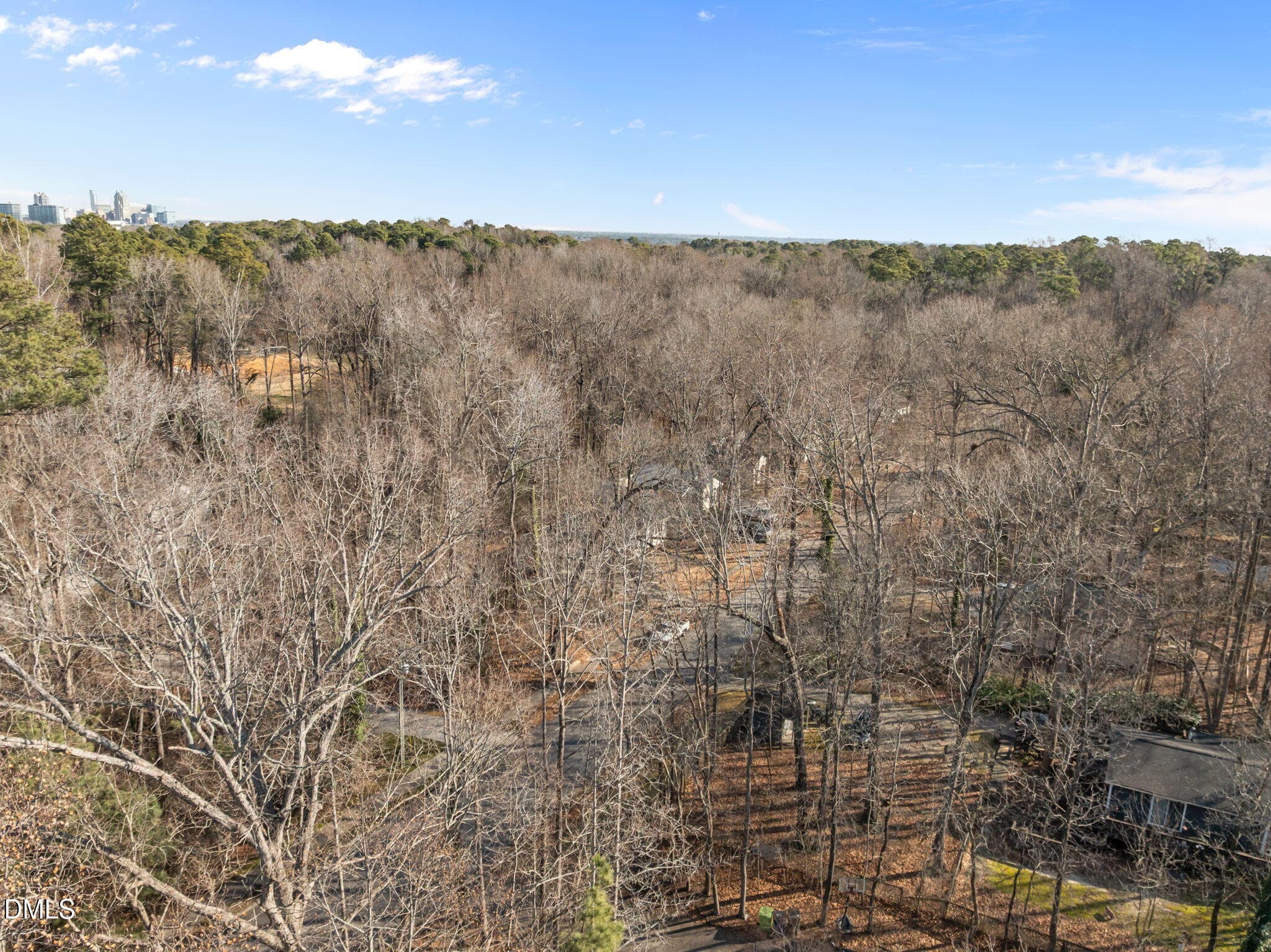 10-web-or-mls-DJI_0480 - 1709 Evergreen Avenue, Raleigh, NC 27603, Raleigh